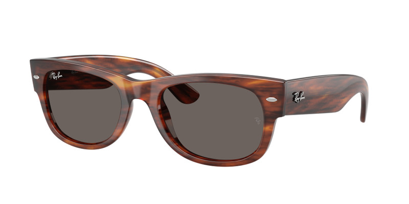 MEGA WAYFARER II 3