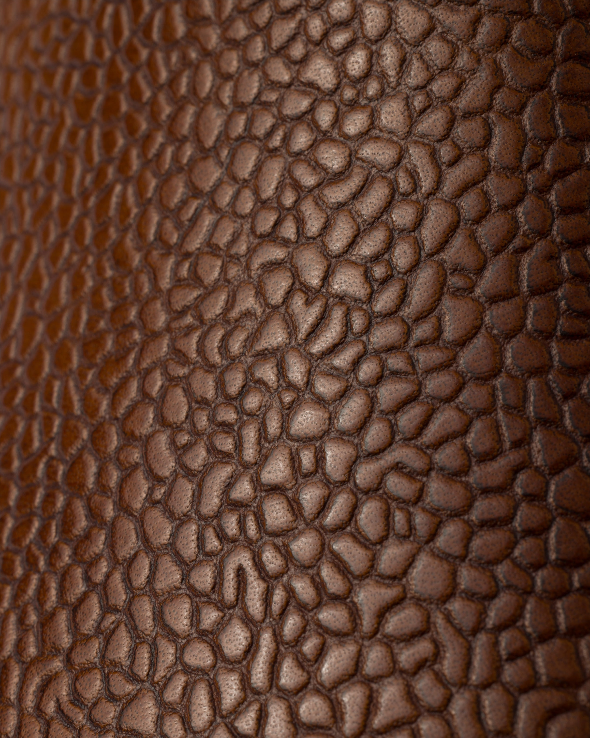 Stamped leather Chelsea boots - 5