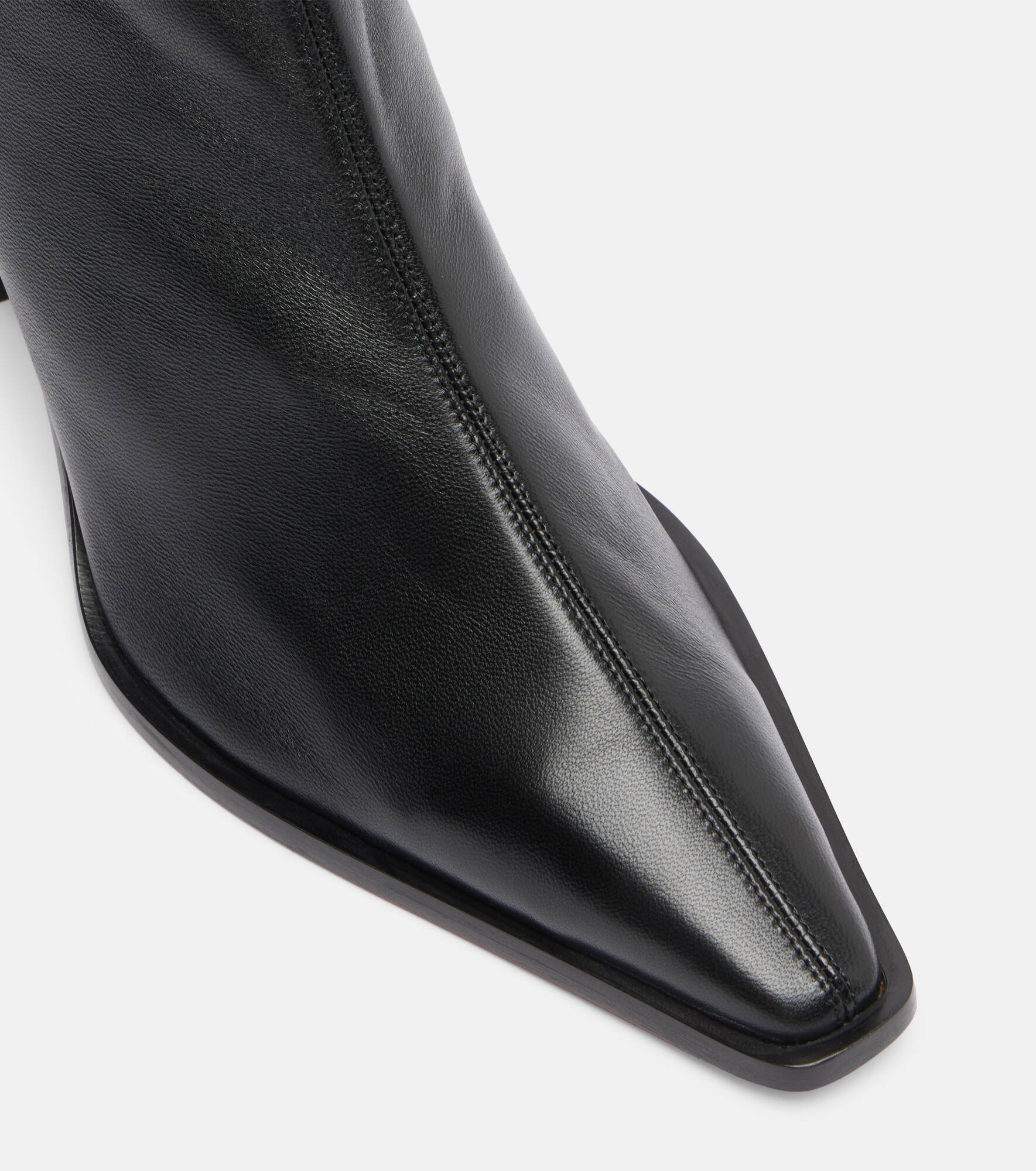Francoise 70 leather ankle boots - 5