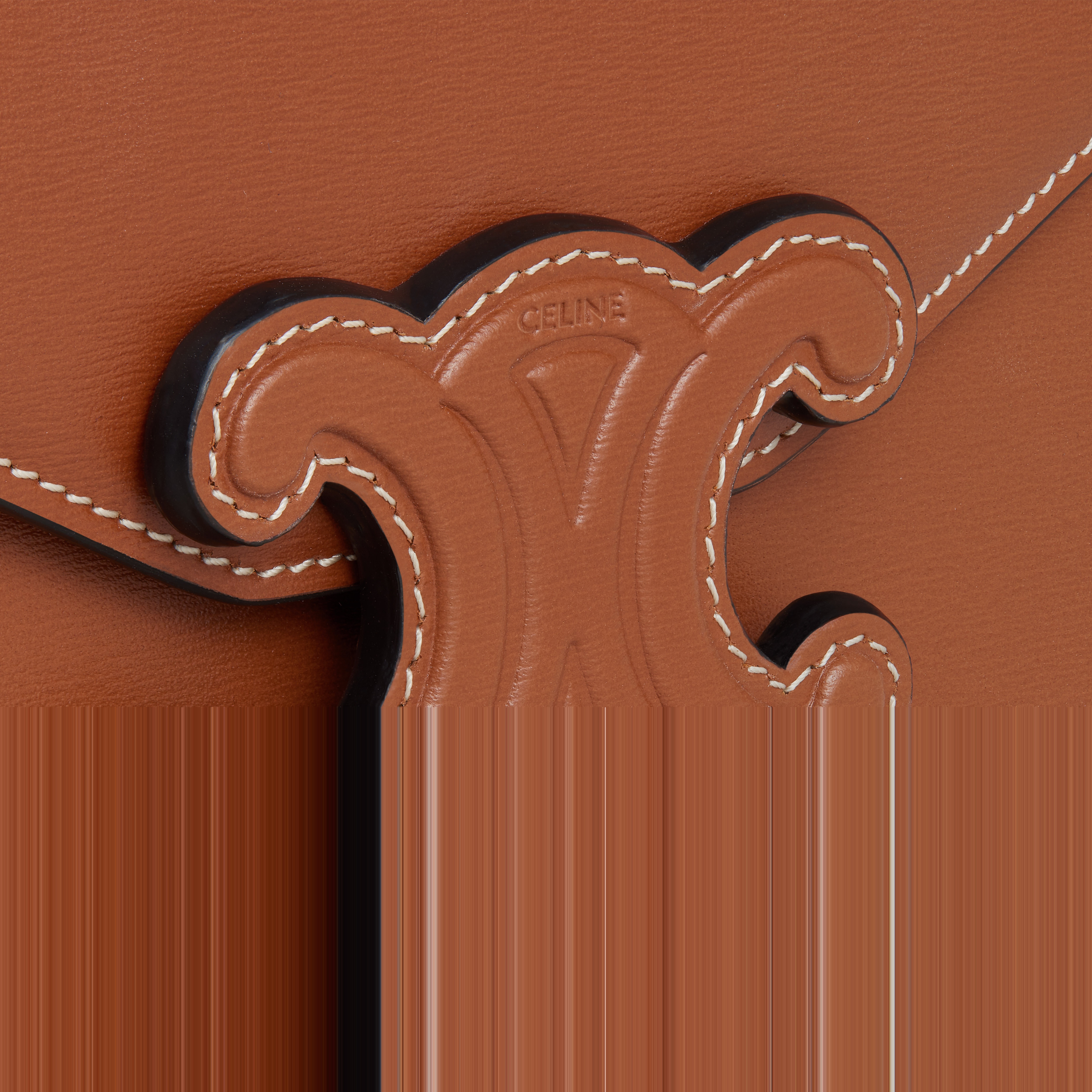 WALLET ON STRAP CUIR TRIOMPHE in Shiny calfskin - 5