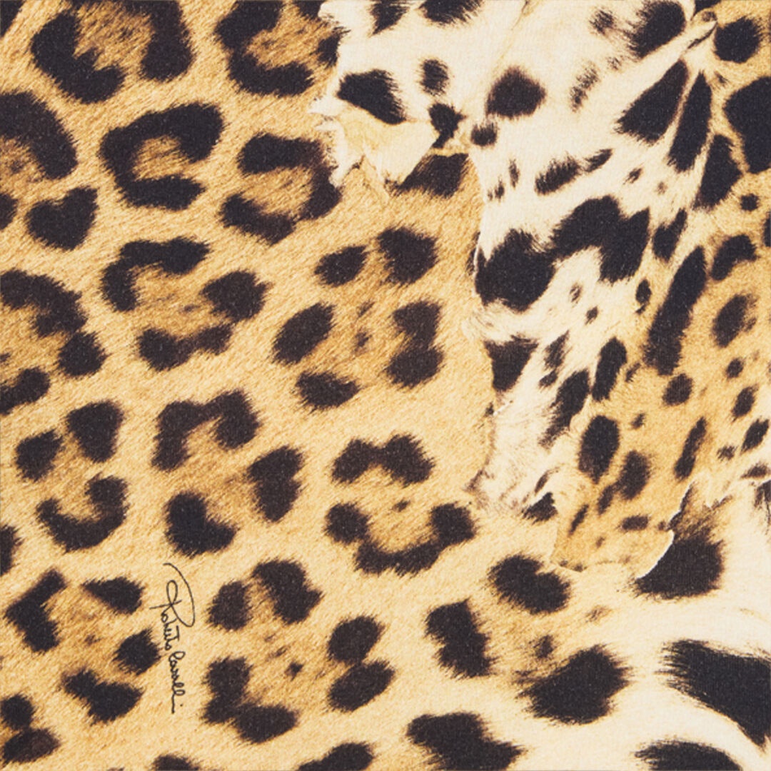 Cotton T-Shirt with Animal Print - 5