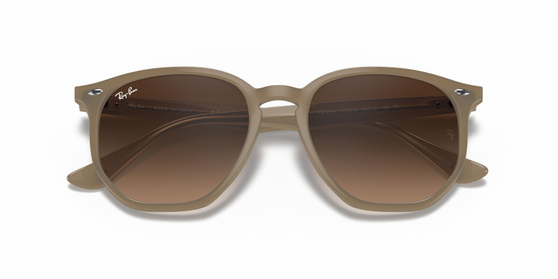 Ray-Ban RB4306 outlook