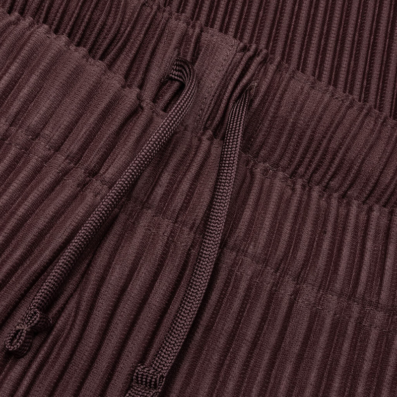 COLOR PLEATS SLACK - EDGE BROWN 3