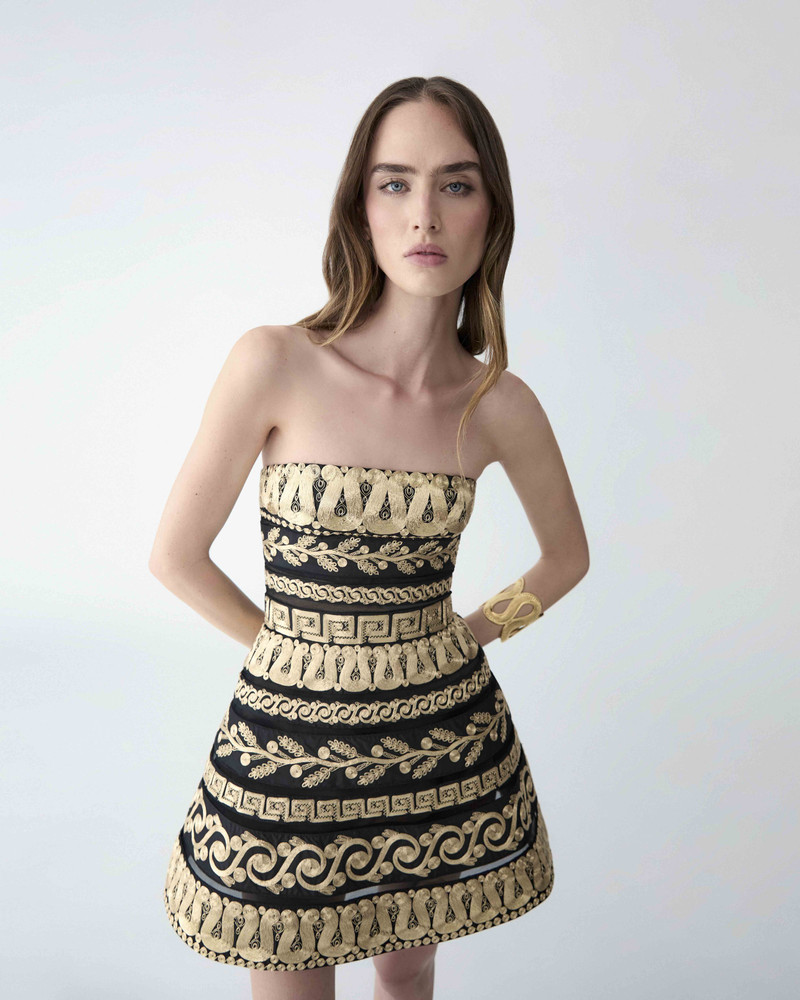 CAROLINA HERRERA Embroidered Strapless Mini Dress outlook
