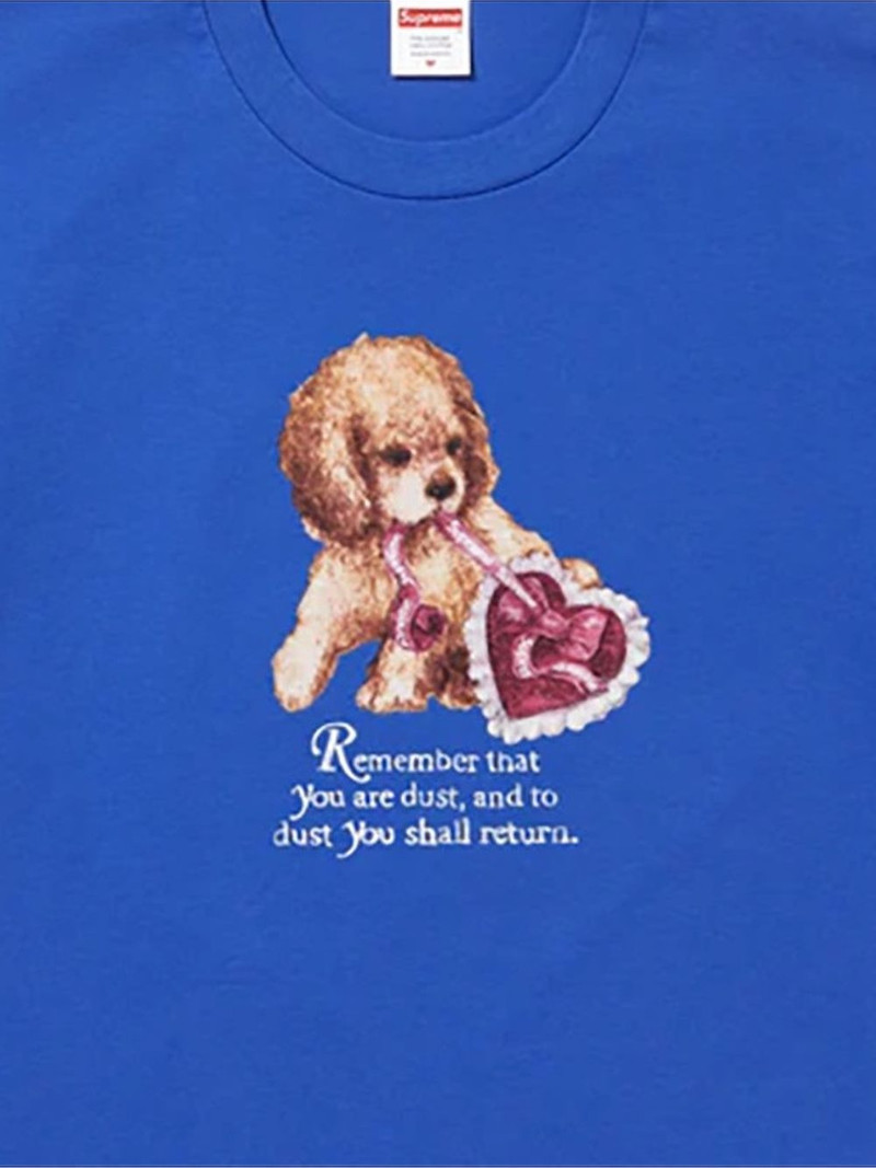 Supreme Dust graphic-print T-shirt outlook