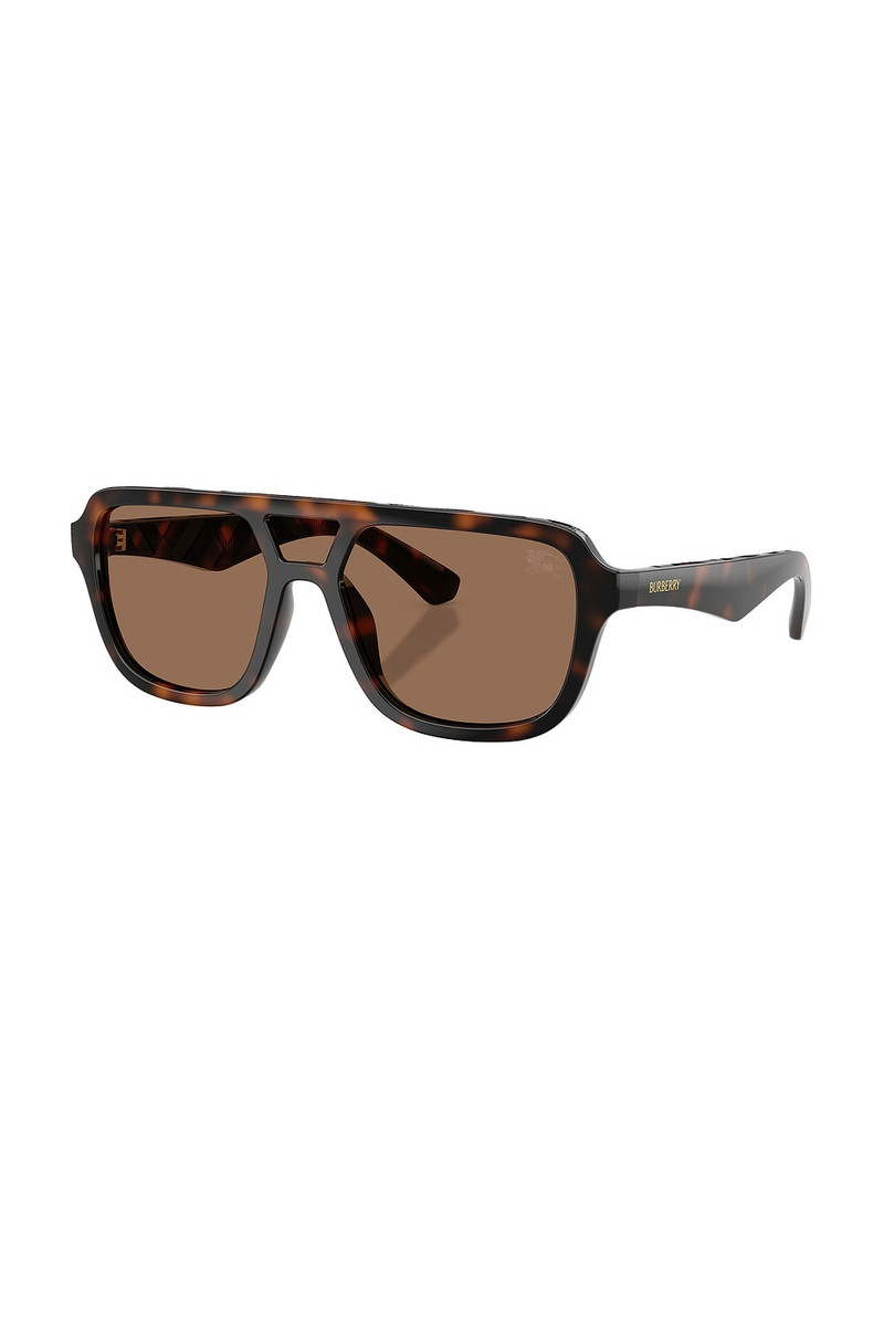Burberry Aviator Sunglasses outlook