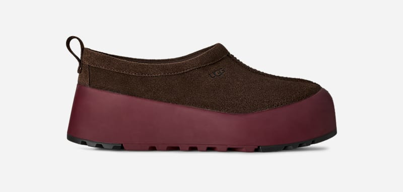 ® Women's Tasman StreetScape Suede Shoes in Dusted Cocoa/Wild Grape 1