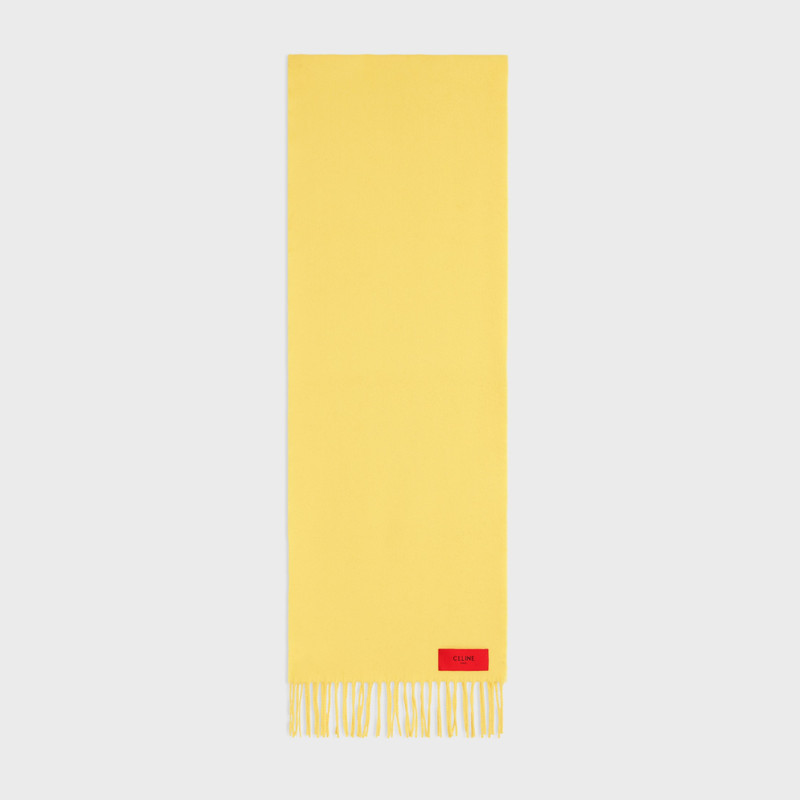 scarf IN cashmere 1