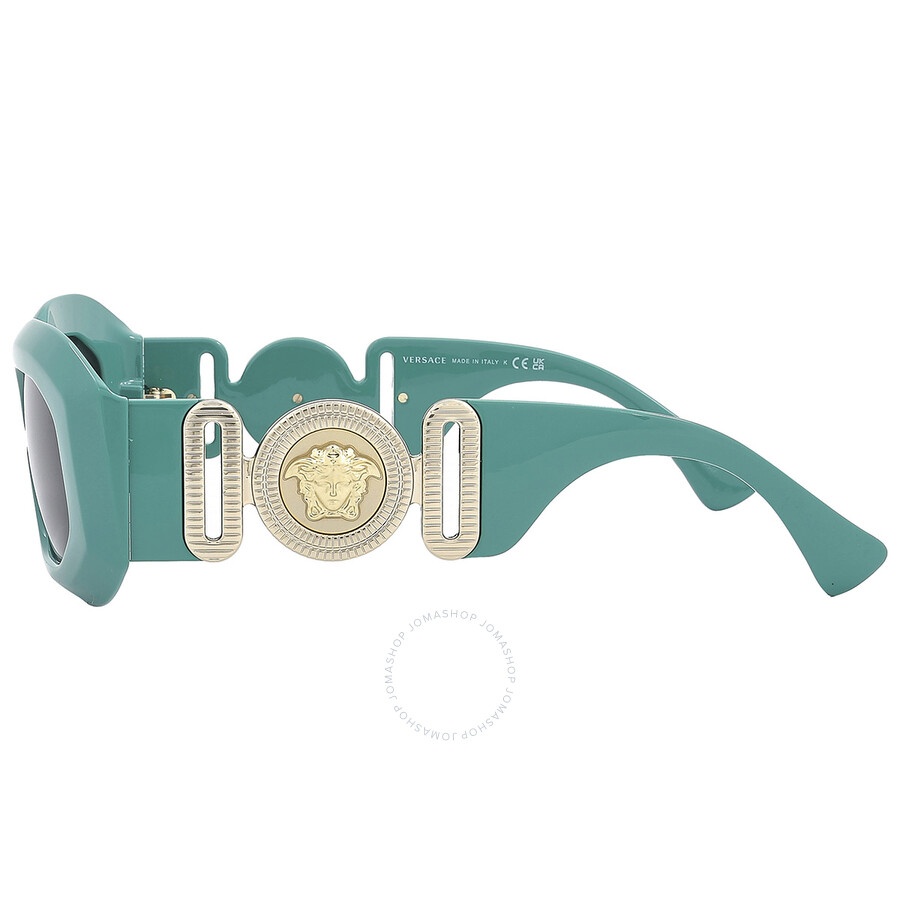 Versace Dark Gray Irregular Men's Sunglasses VE4425U 536487 53 - 4