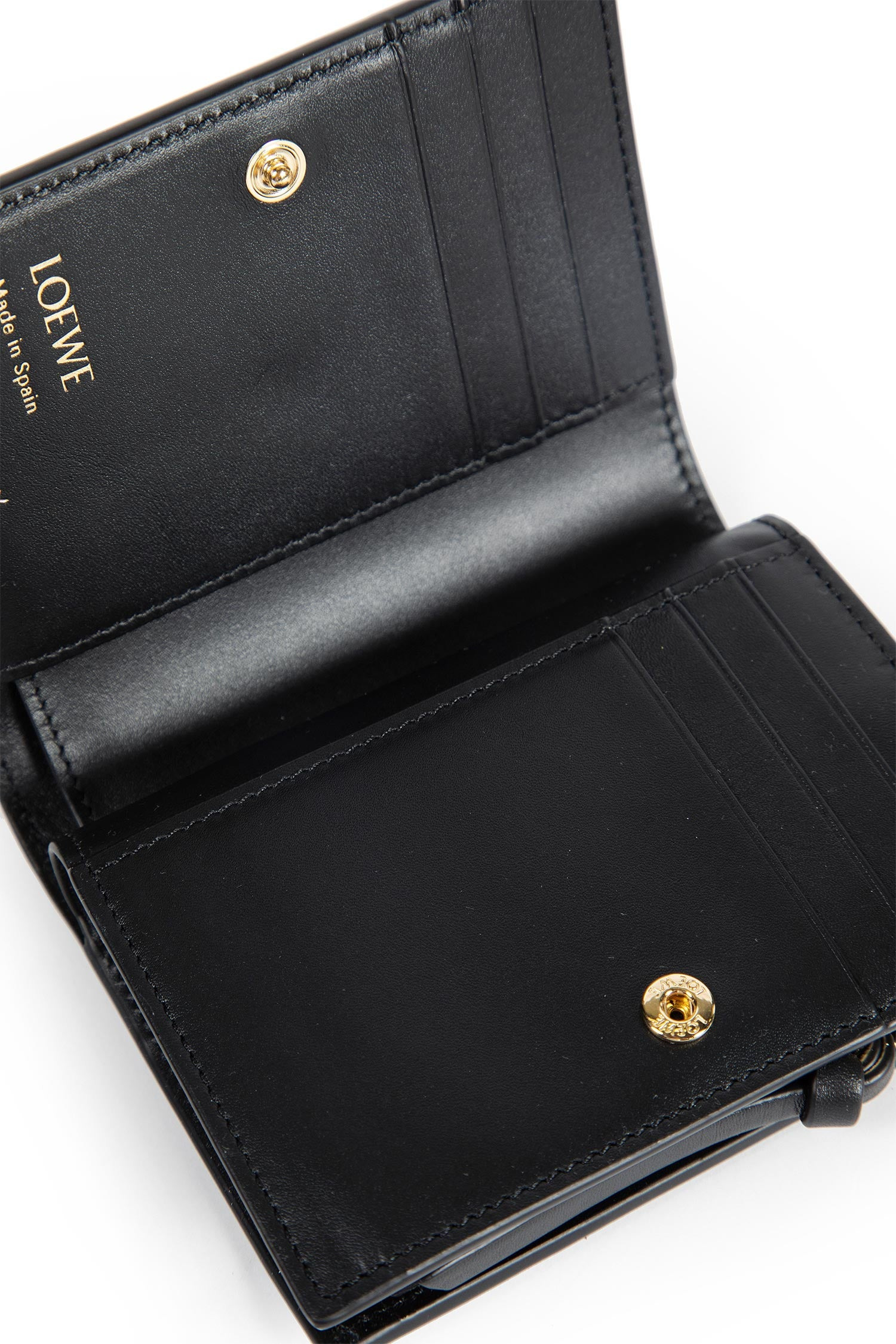 Albers Collaboration Compact Wallet - 4