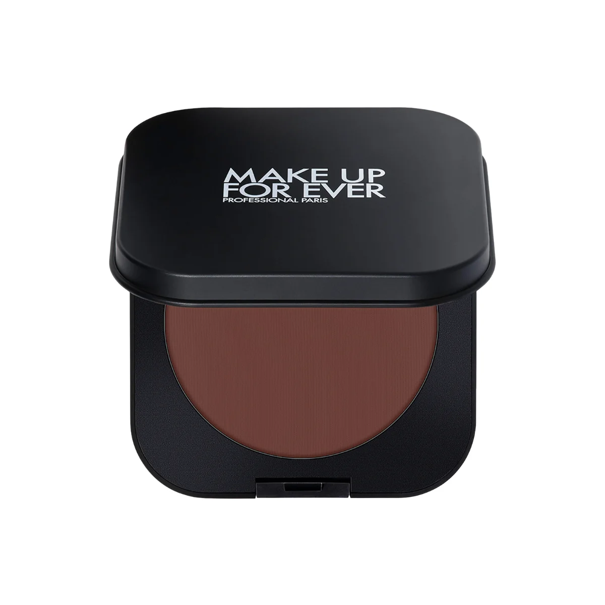 ARTIST BRONZER - 1