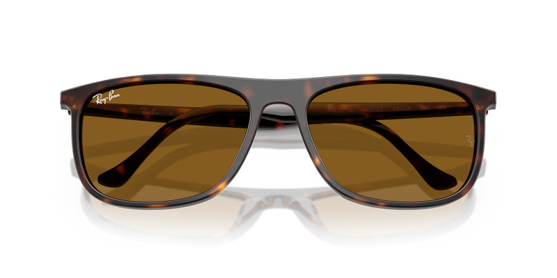 Ray-Ban RB2216 outlook