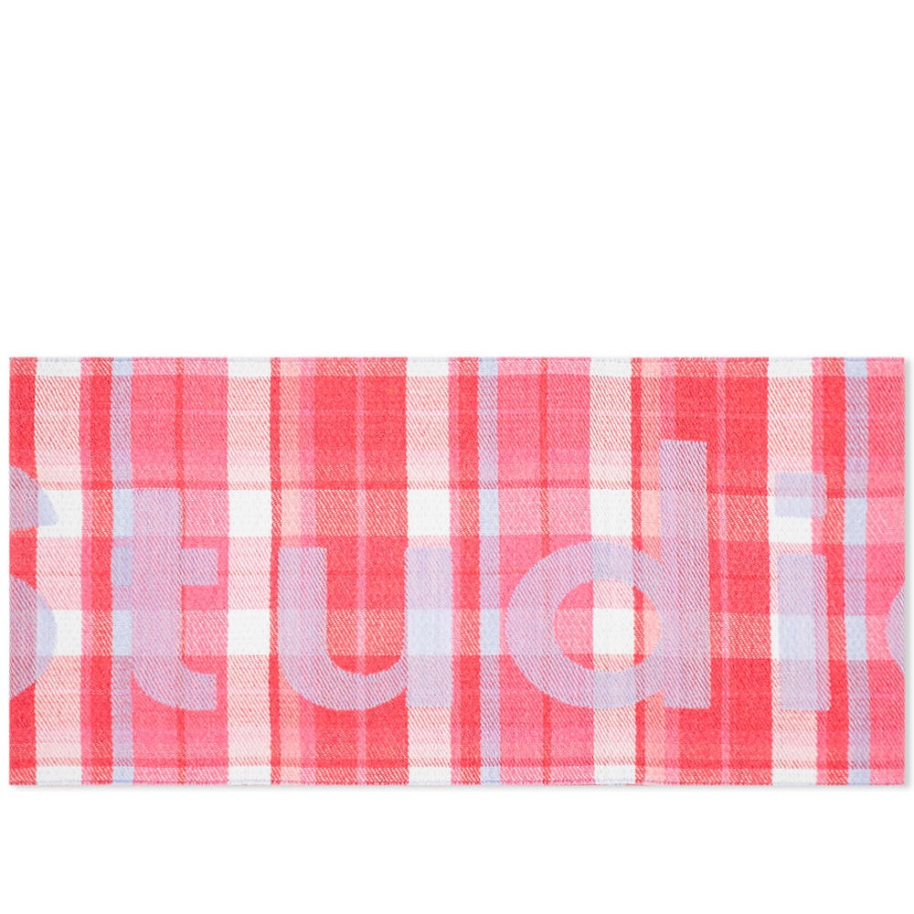 Acne Studios Victoria Check Logo Scarf - 1