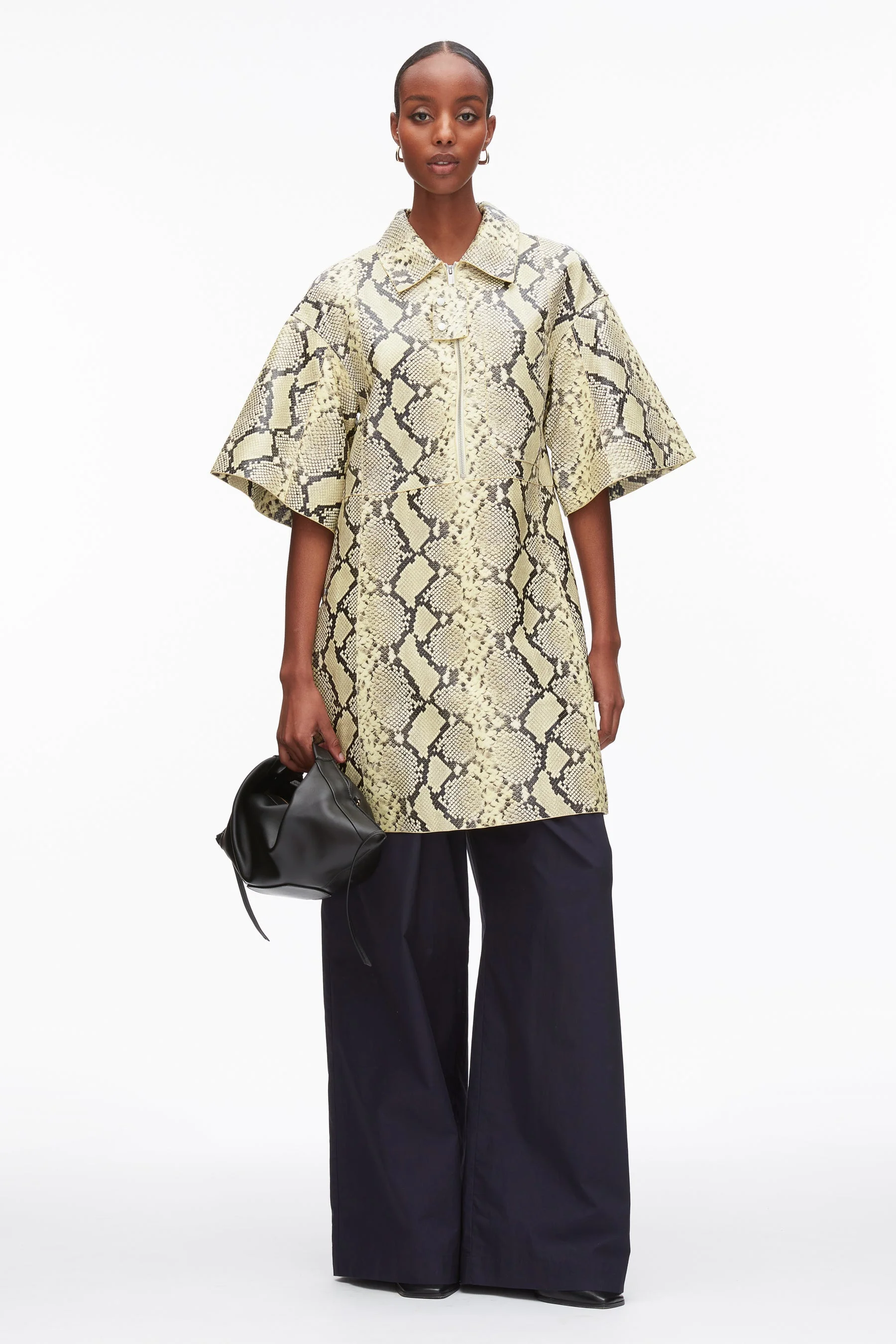 Shift Shirt Dress with Button Placket - 1