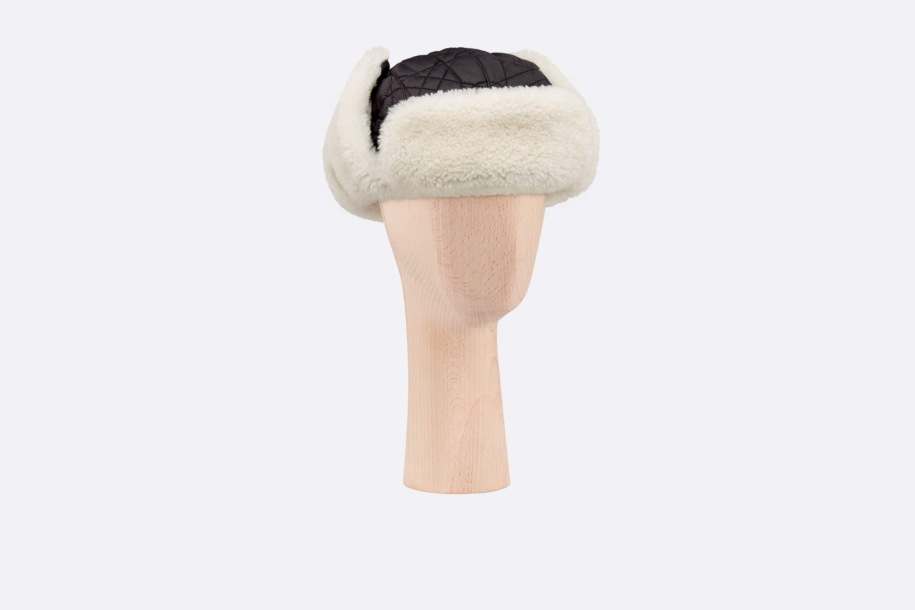 Dior Frost Shapka - 7