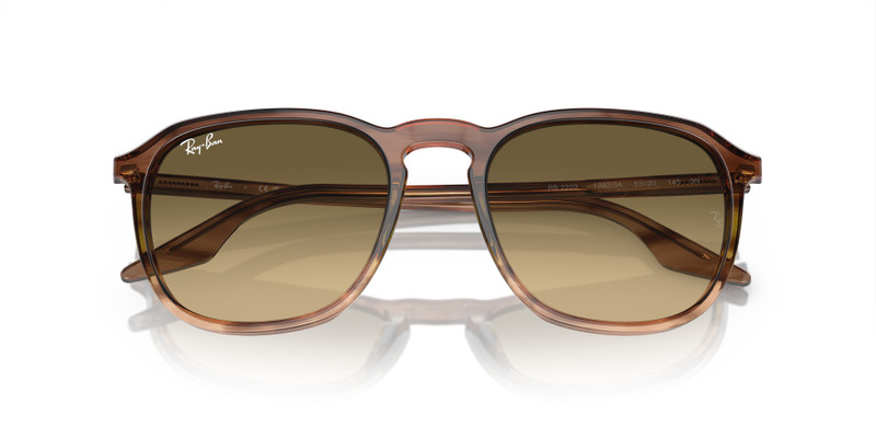 Ray-Ban RB2203 outlook