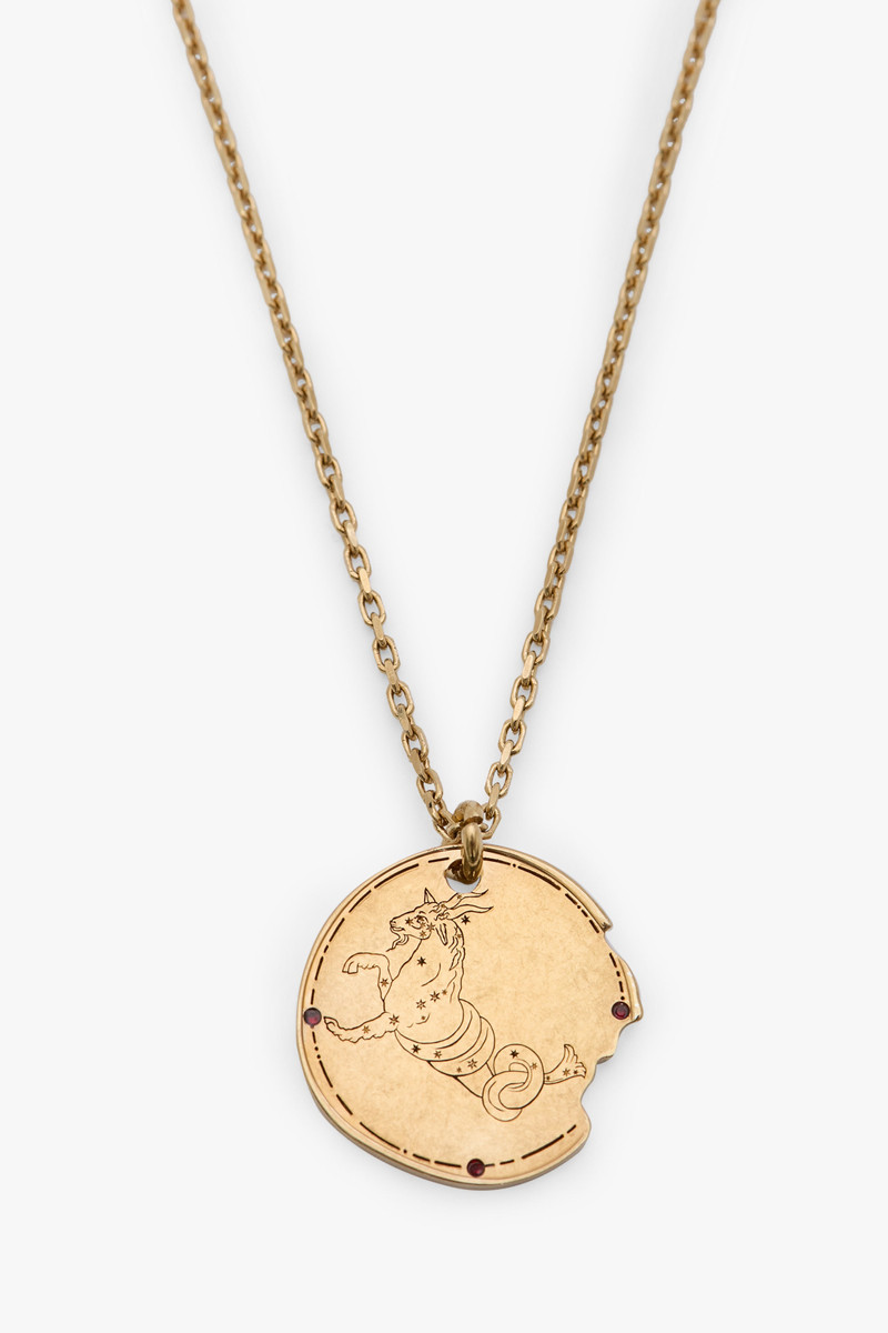 Capricorn Zodiac Necklace 1