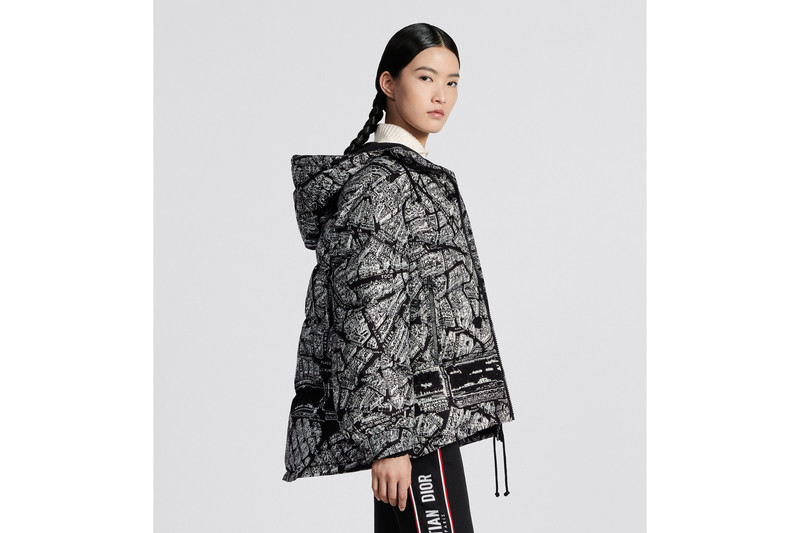 DiorAlps Hooded Down Jacket 3