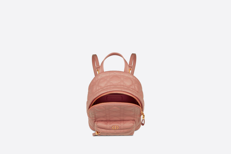 Mini Dior Backpack 4