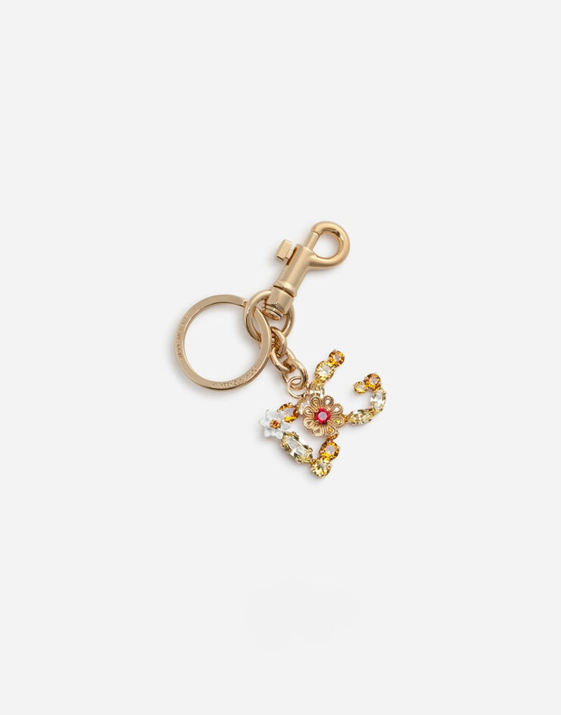 Dolce & Gabbana Multi-colored DG keychain outlook