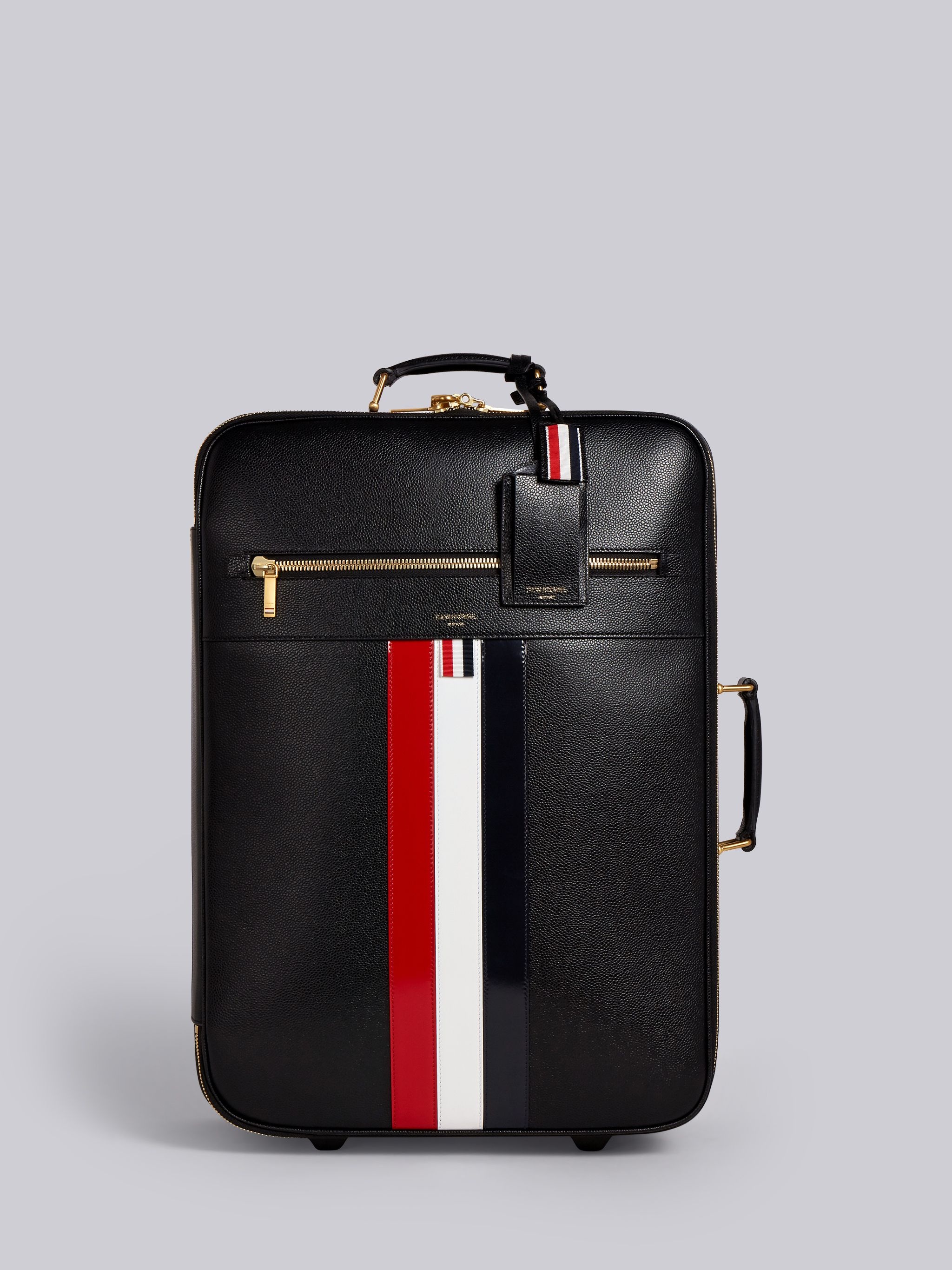 Striped Leather Check-In Soft Case - 1