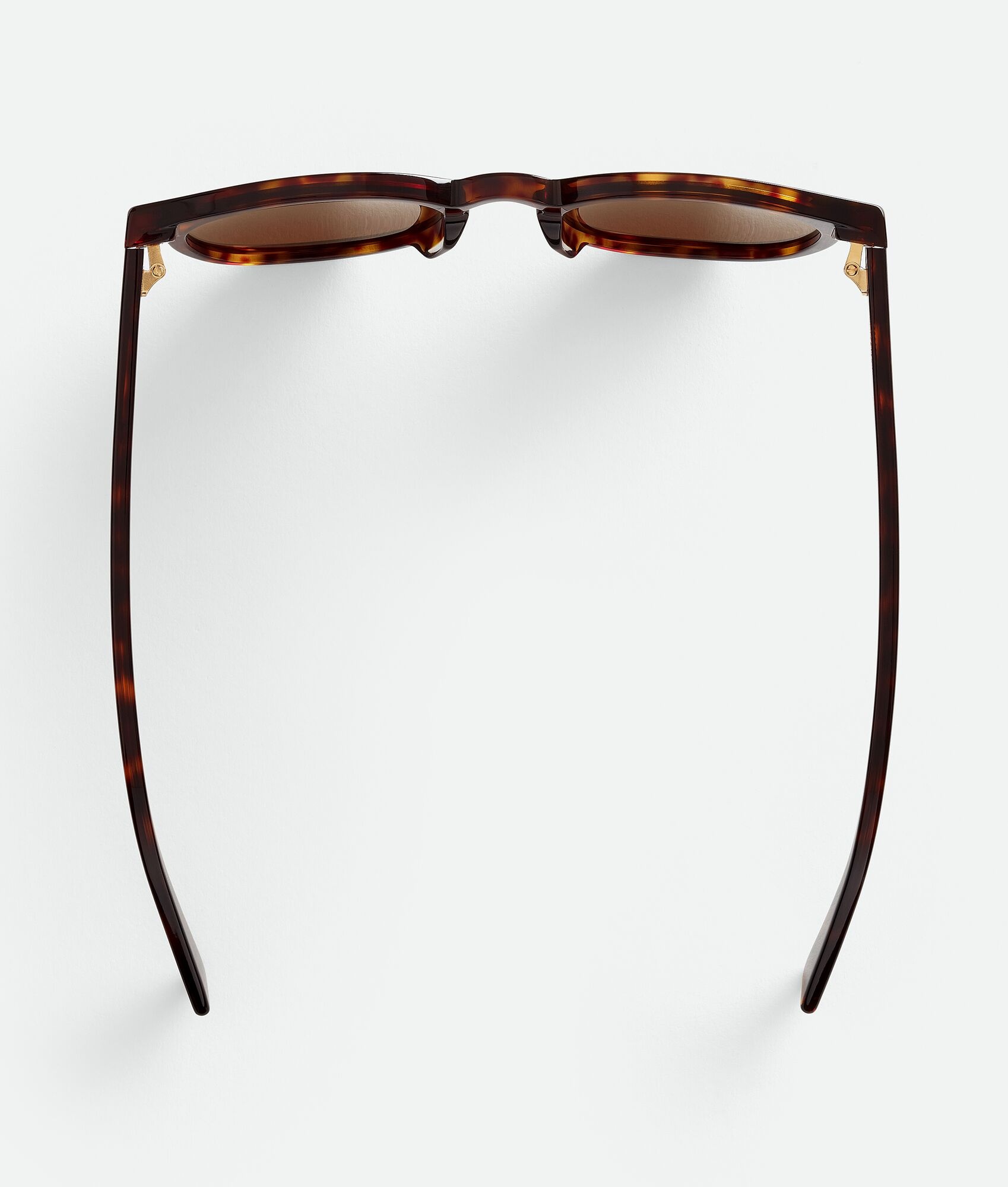 Soft Recycled Acetate Panthos Sunglasses - 4