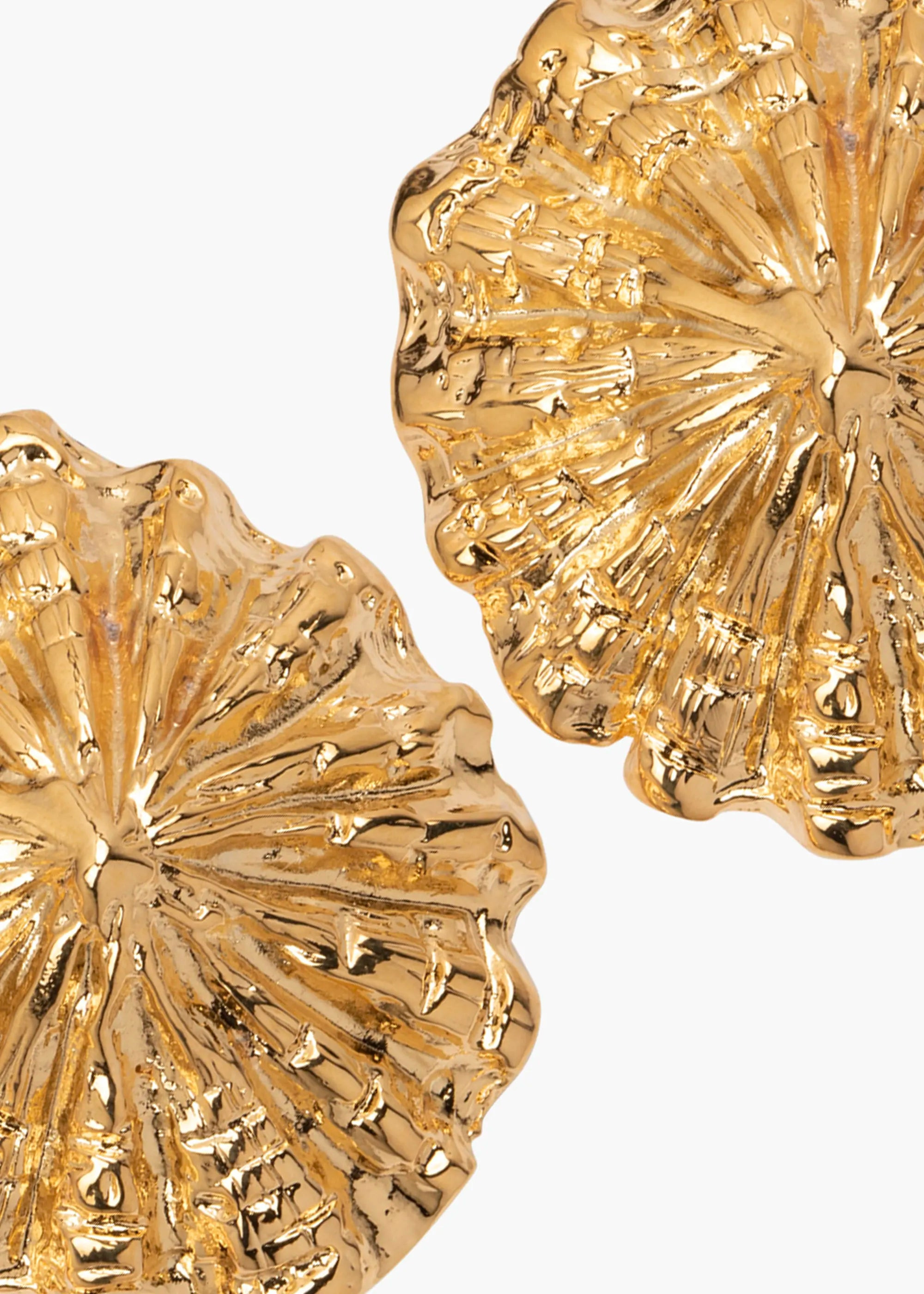 Limpet Earrings - 5