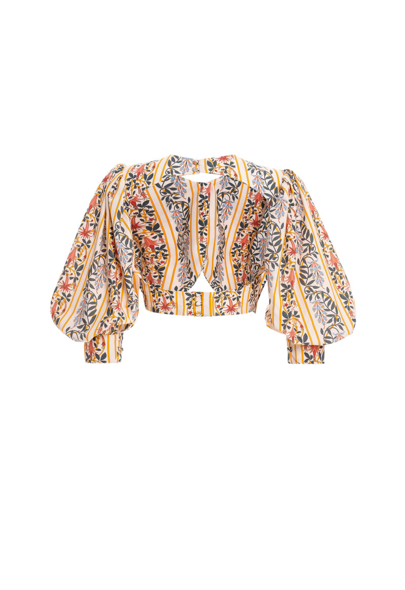 Granate Lluvia Foral Cropped Top 3