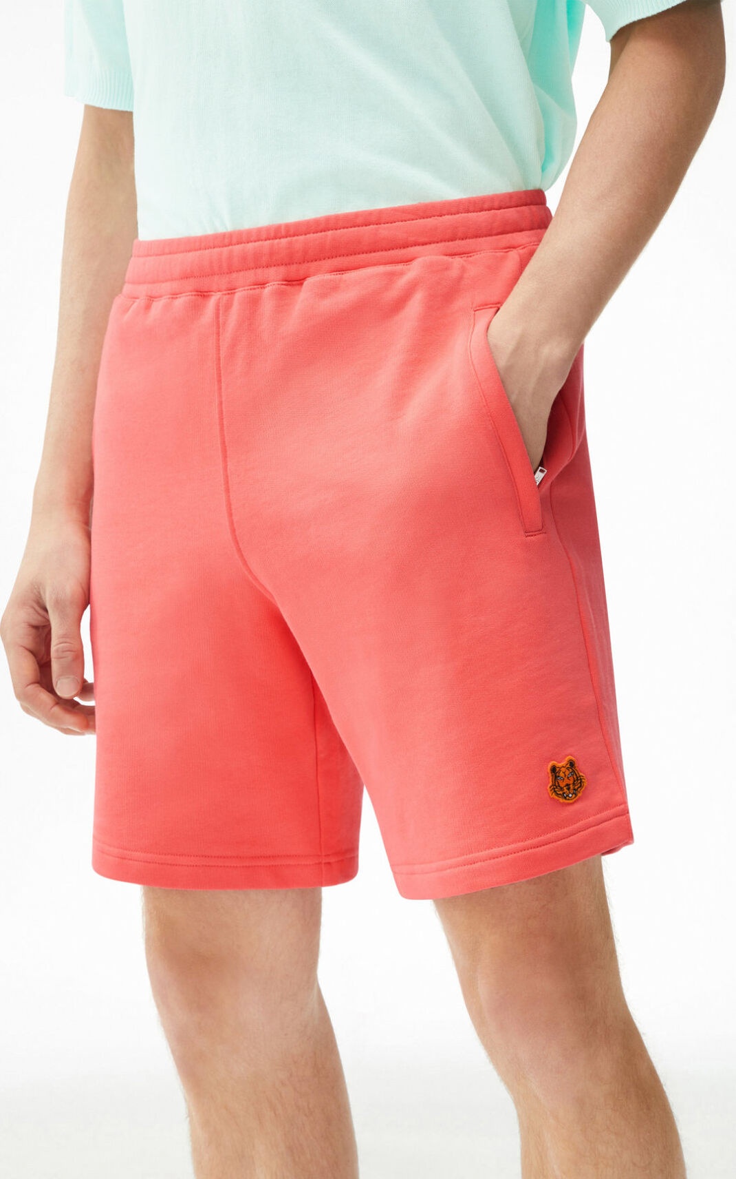 Tiger Crest shorts - 4
