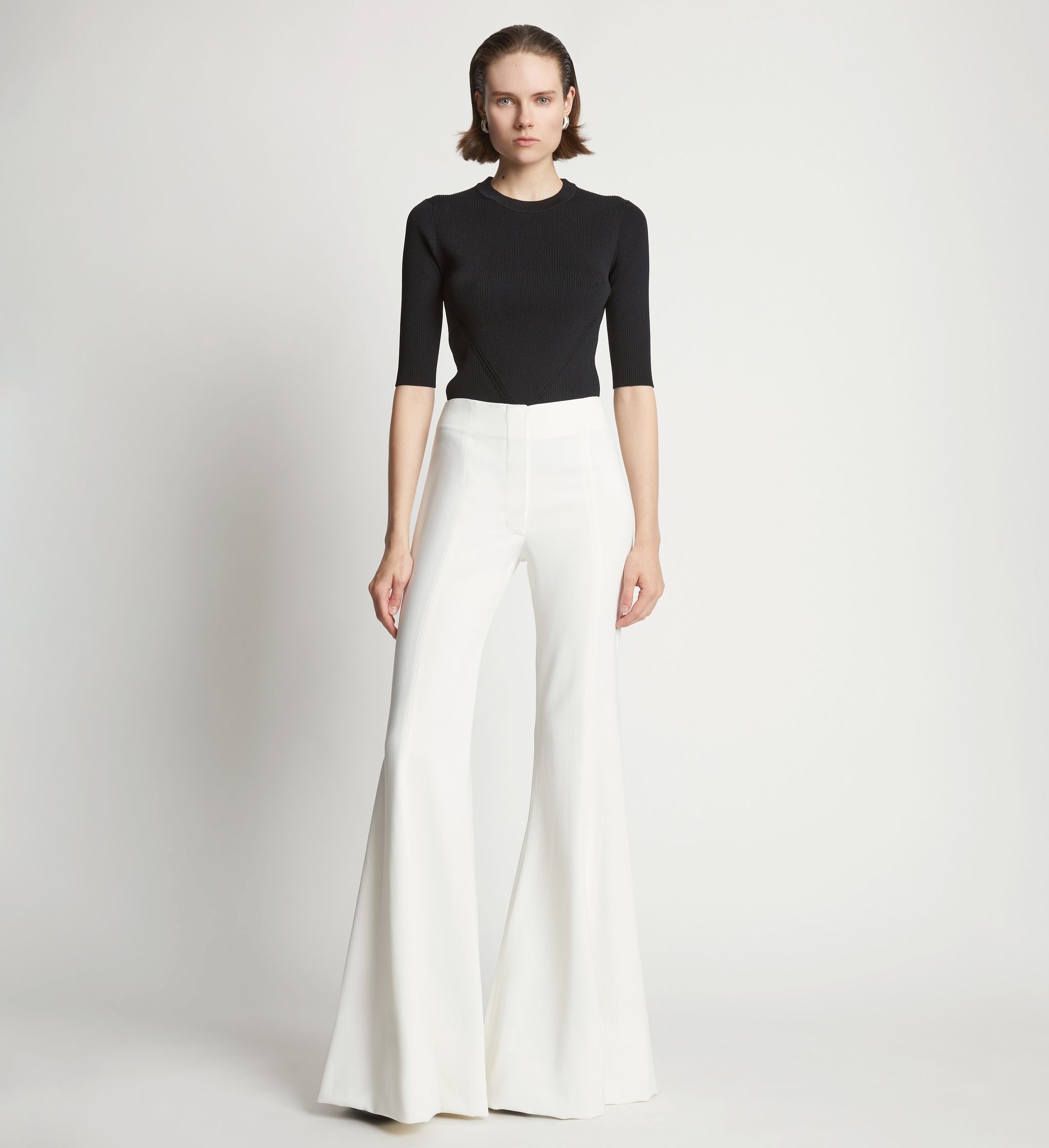 Viscose Suiting Wide Leg Pants - 2