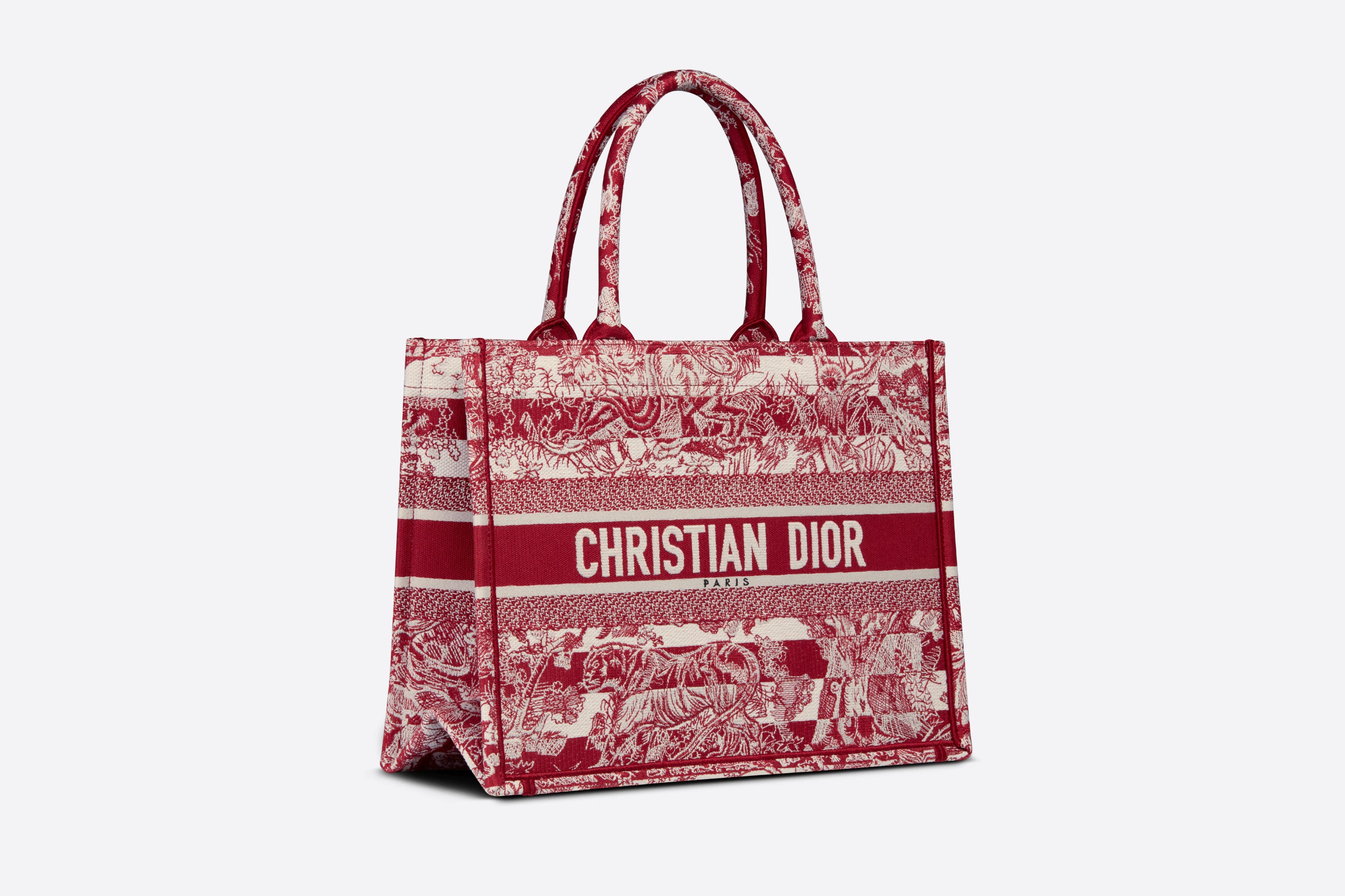 Medium Dior Book Tote - 2