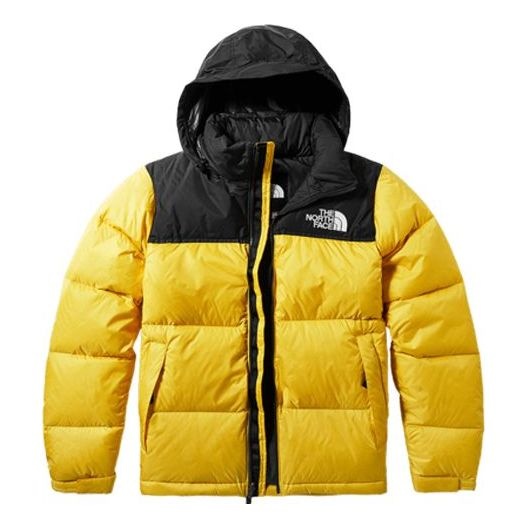 THE NORTH FACE 1996 Nuptse 700 4NCH-70M - 1