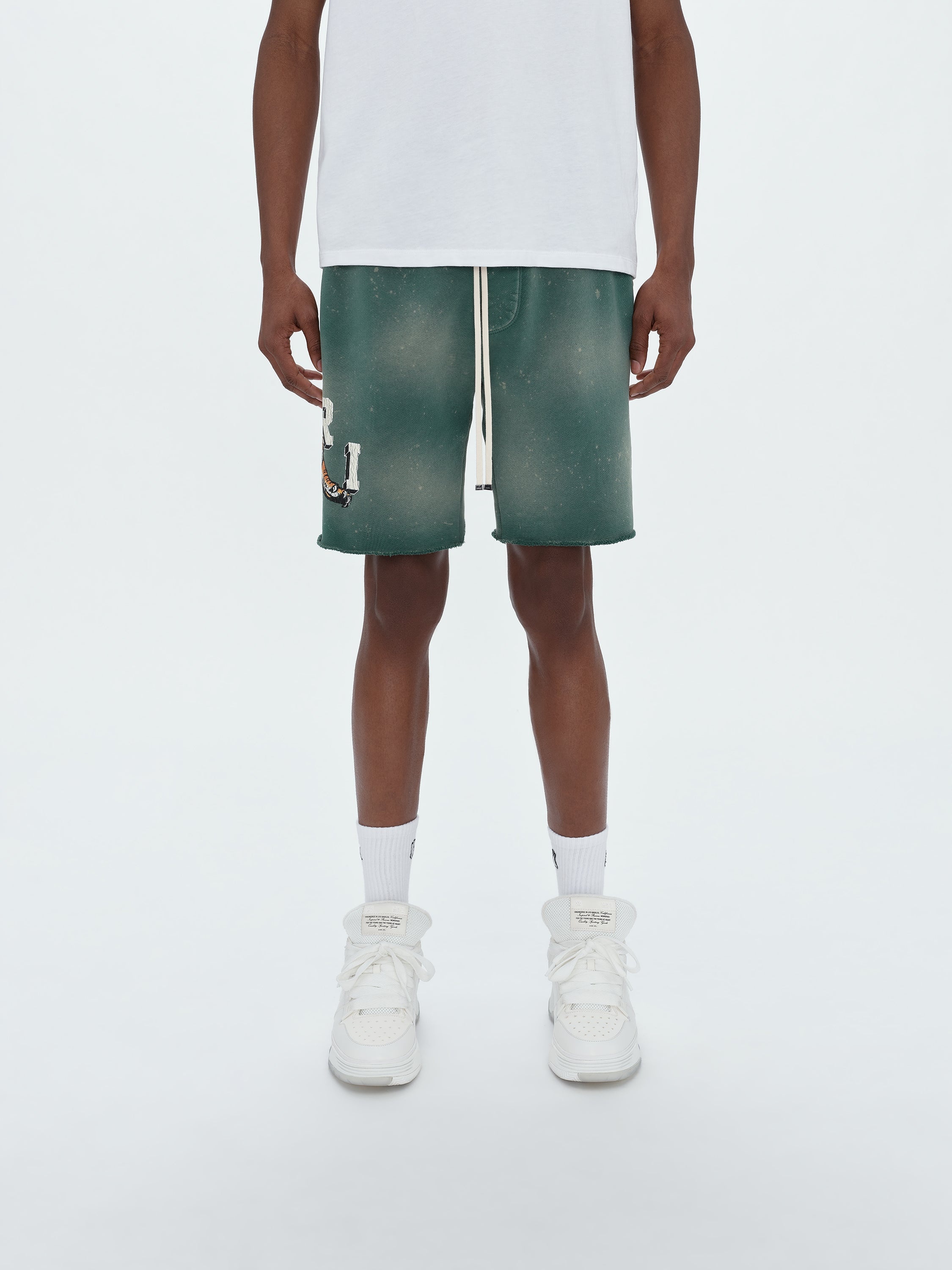 VINTAGE TIGER SWEATSHORT - 3
