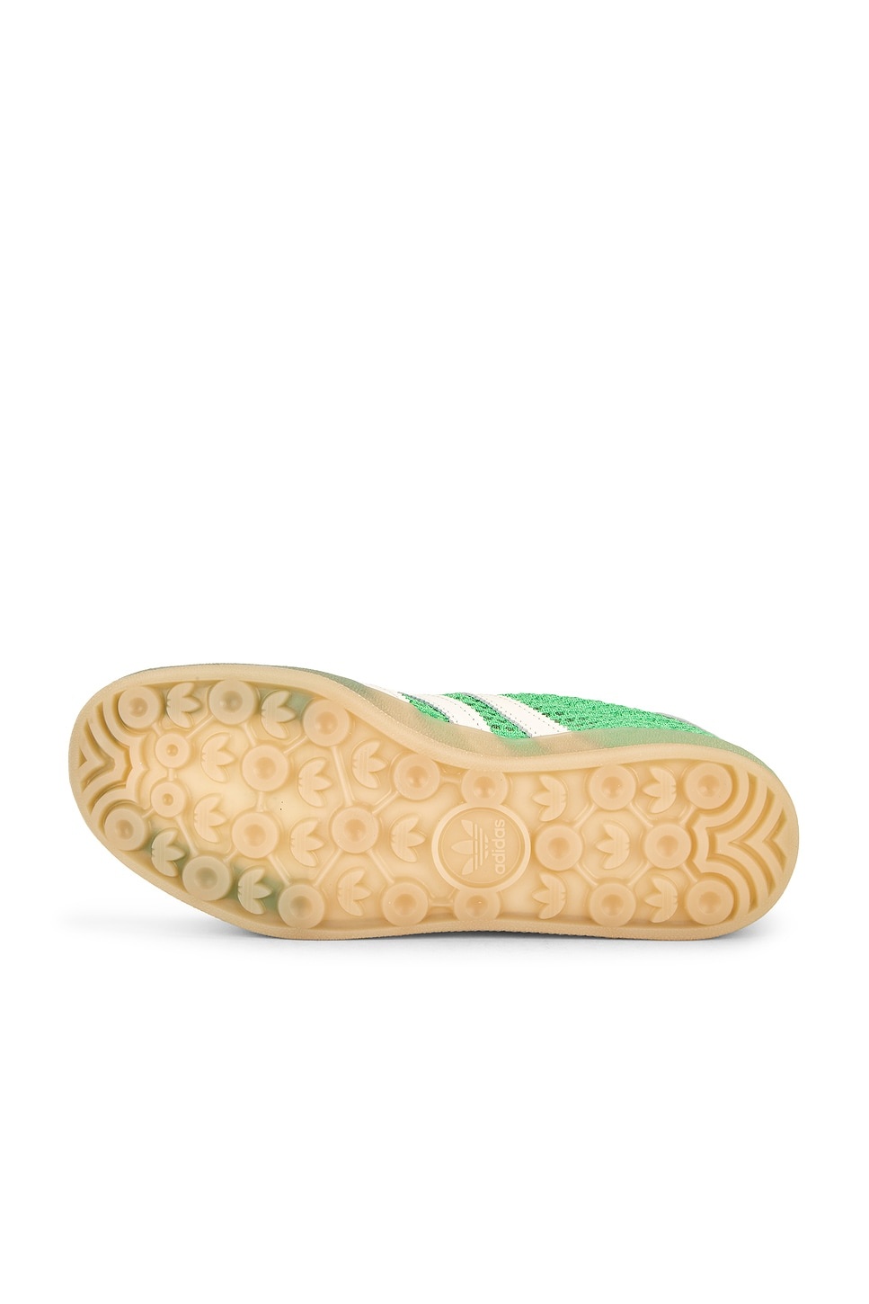 Gazelle Indoor - 6