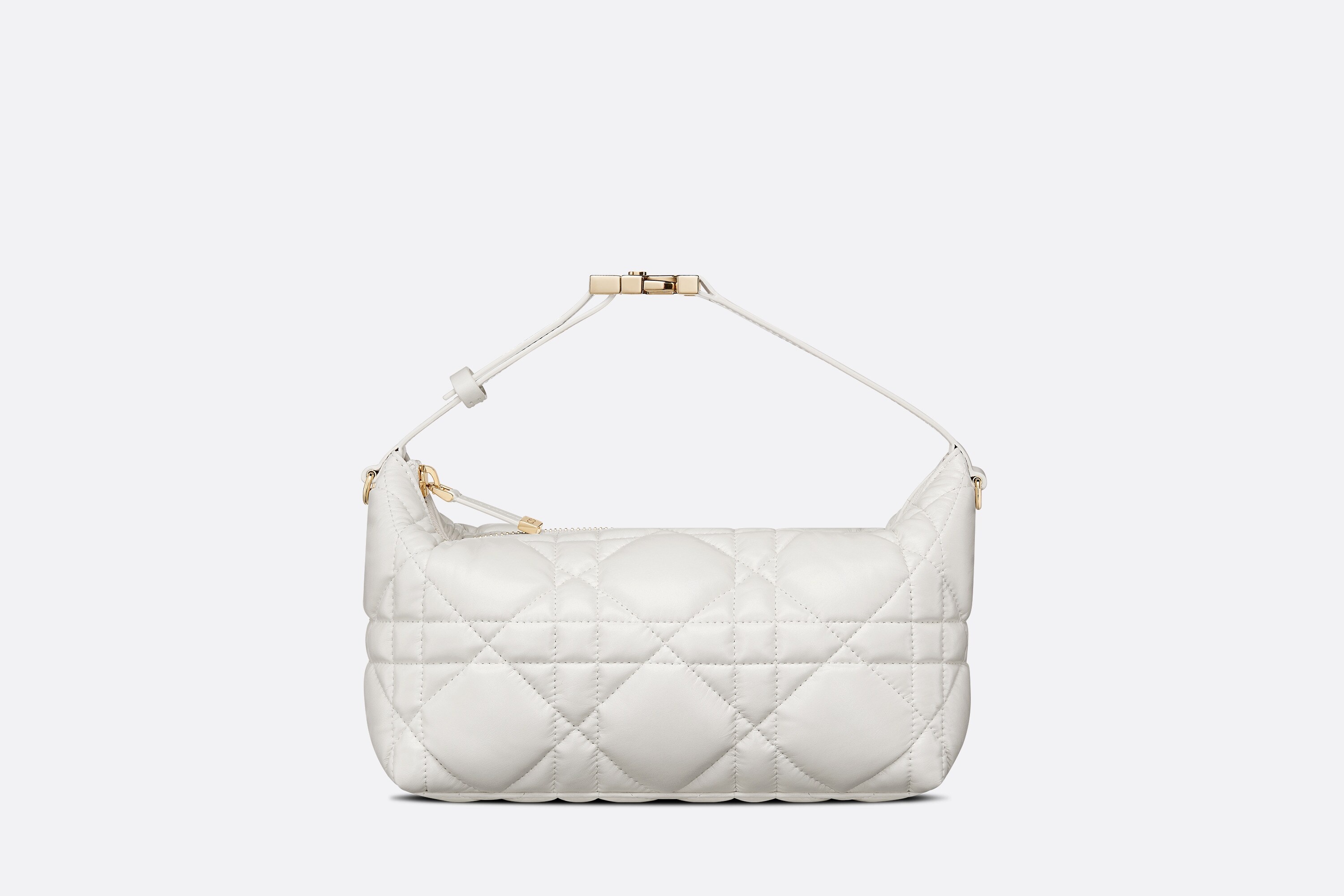 Medium DiorTravel Nomad Pouch - 1