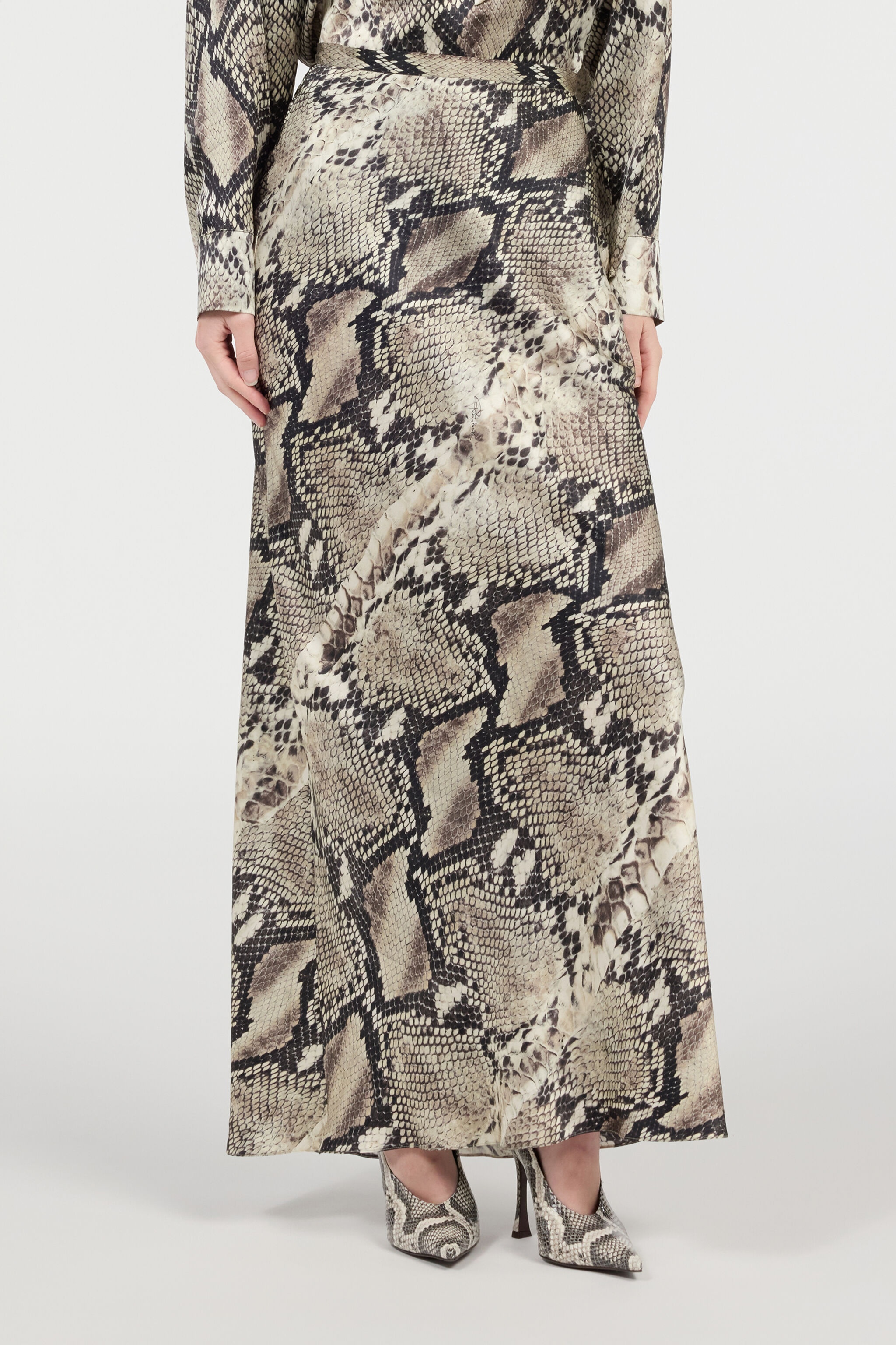Long Silk Skirt with Python Print - 3