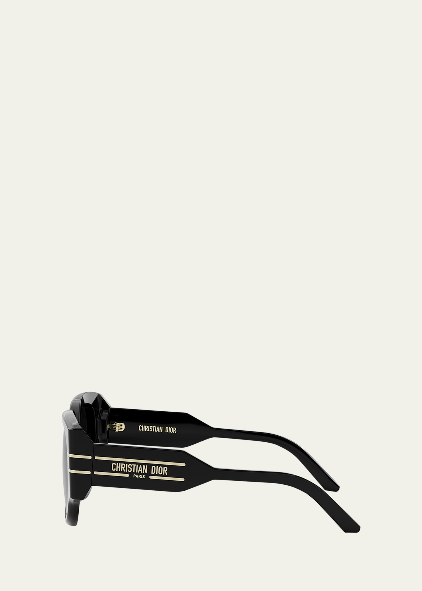 DiorSignature R21 Sunglasses - 3