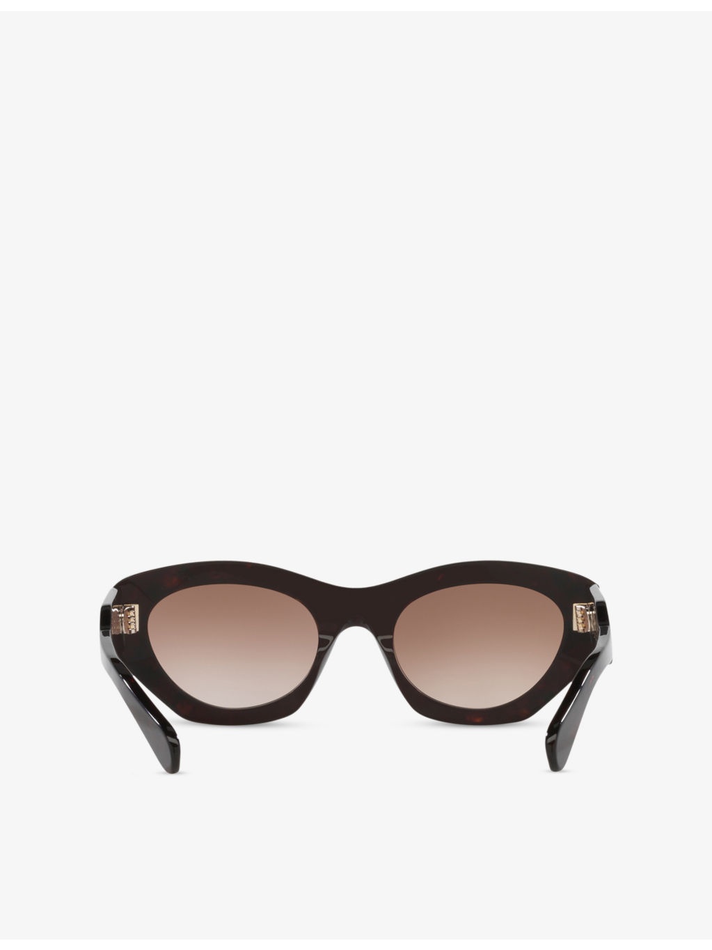 CH0220S Cat-Eye Acetate Sunglasses - 4