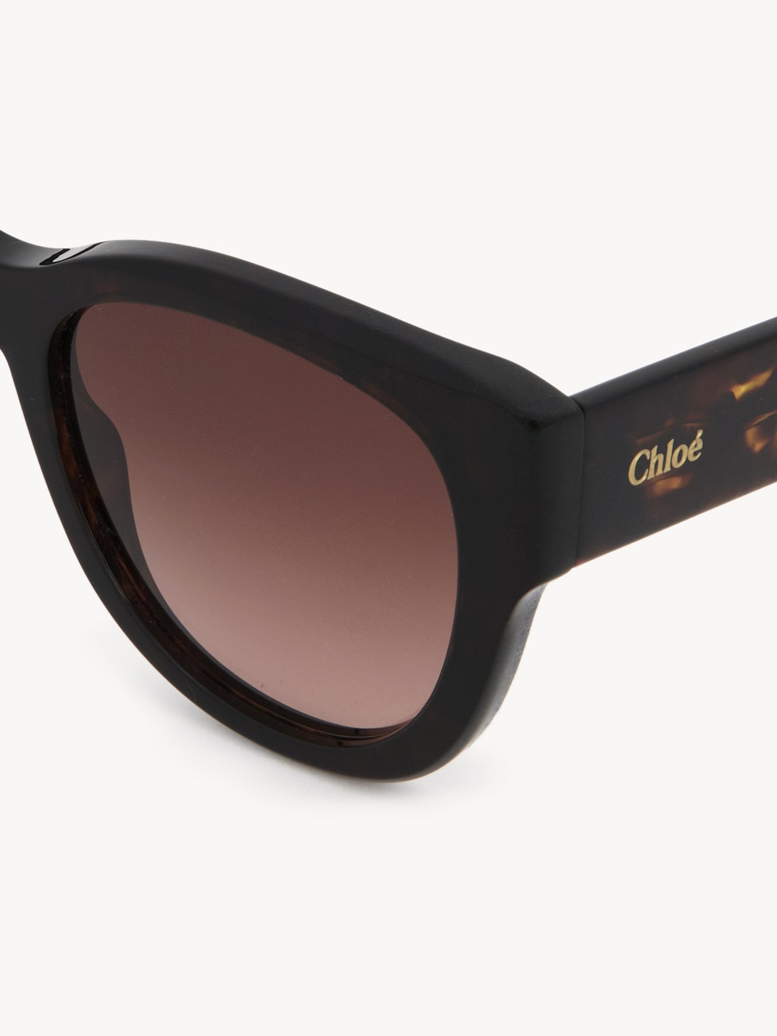 GAYIA SUNGLASSES - 3