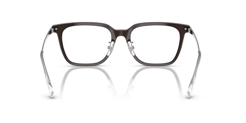 RB5442D OPTICS 6