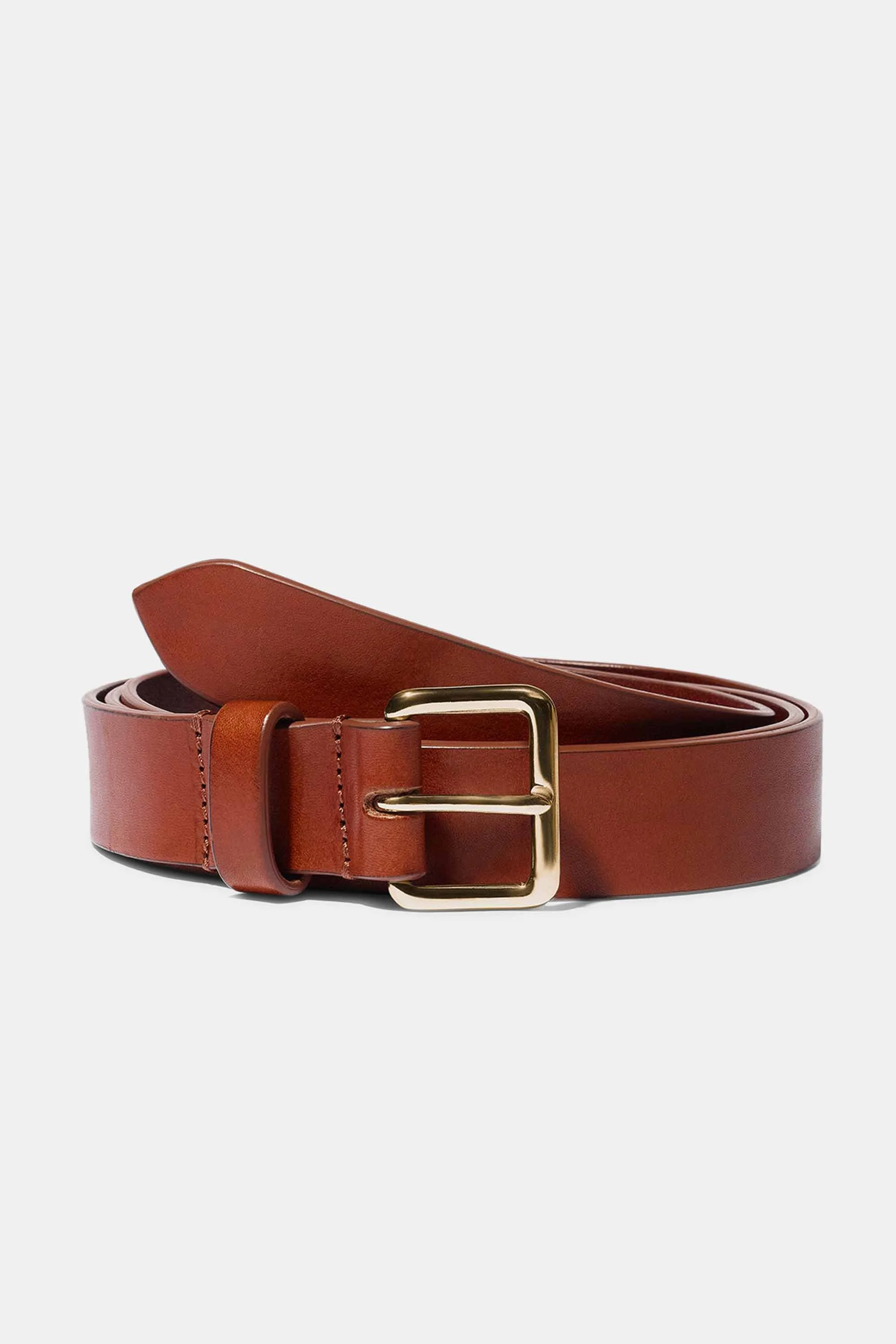 YOYO BELT IN CHESTNUT WITH GOLD BUCKLE — EXCLUSIVE - 1