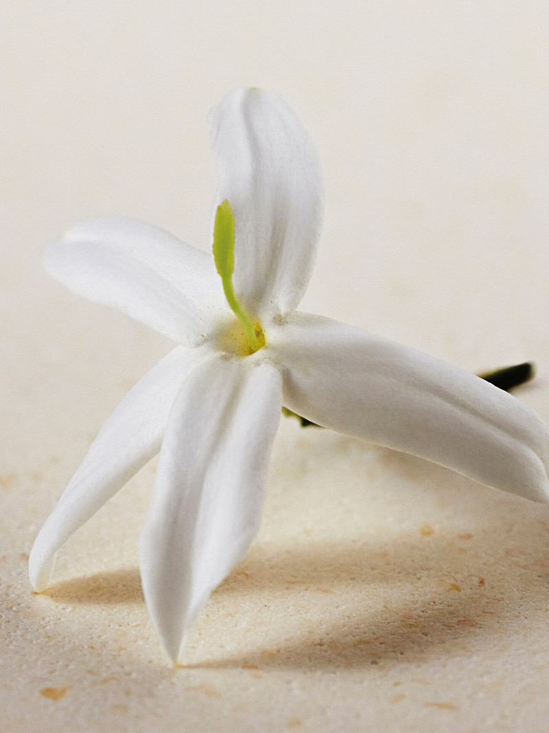 Chloé ATELIER DES FLEURS – DISCOVERY GIFT SET 3 PENSPRAYS outlook