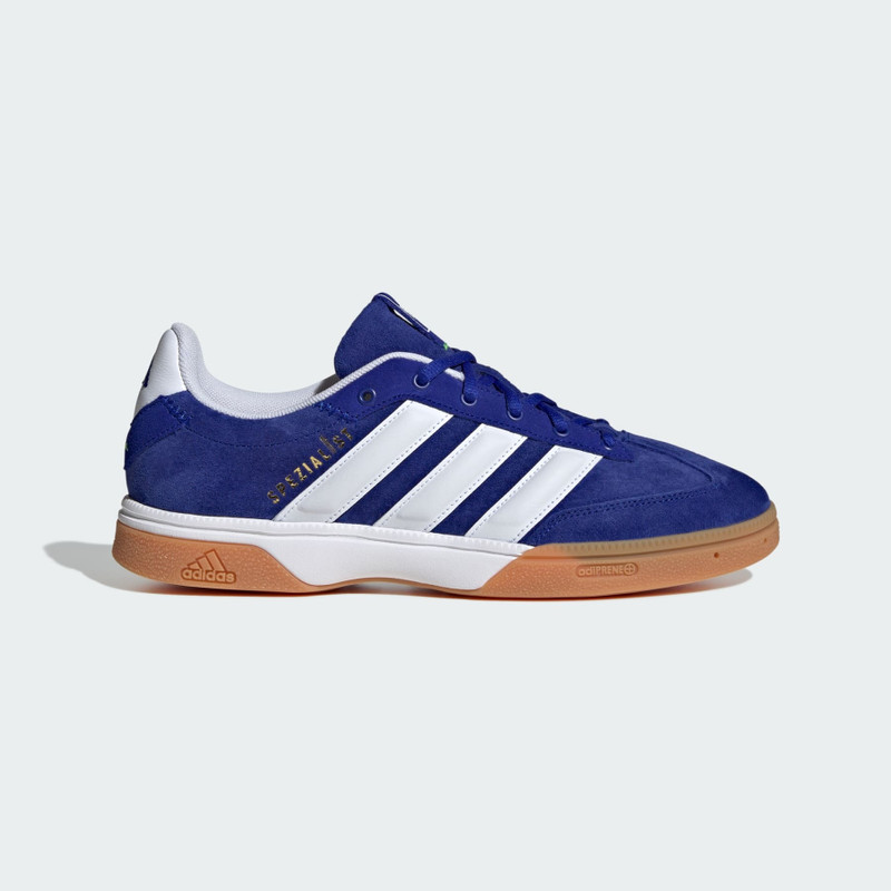 Spezialist Indoor Shoes - 1
