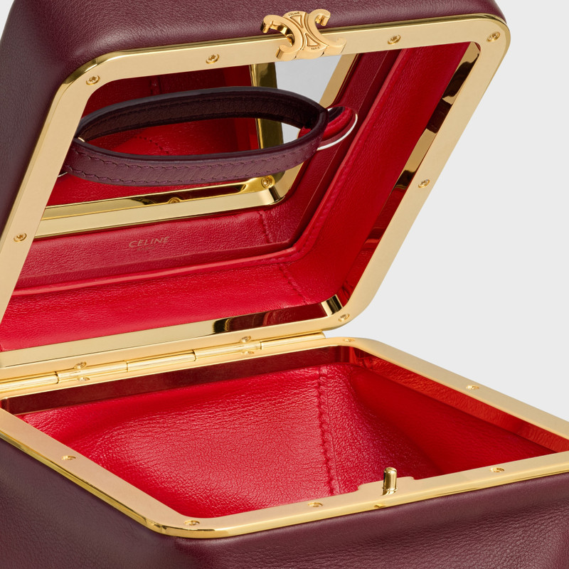 SMALL TRIOMPHE FRAME IN SUPPLE CALFSKIN 5