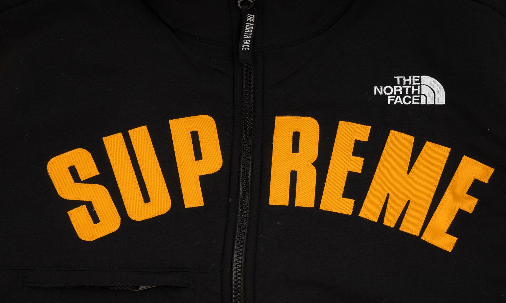 TNF Arc Logo Denali Fleece Jacket - 2