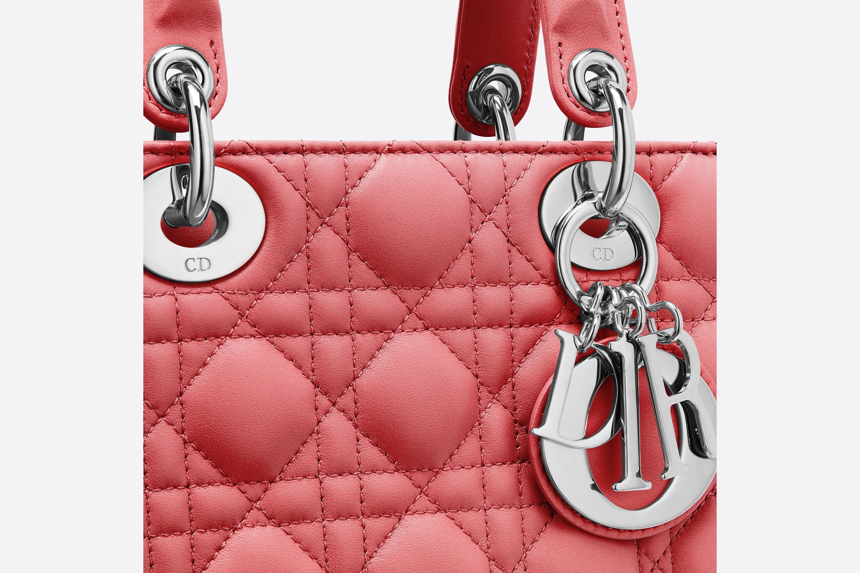 MyABCDior Lady Dior Bag - 4