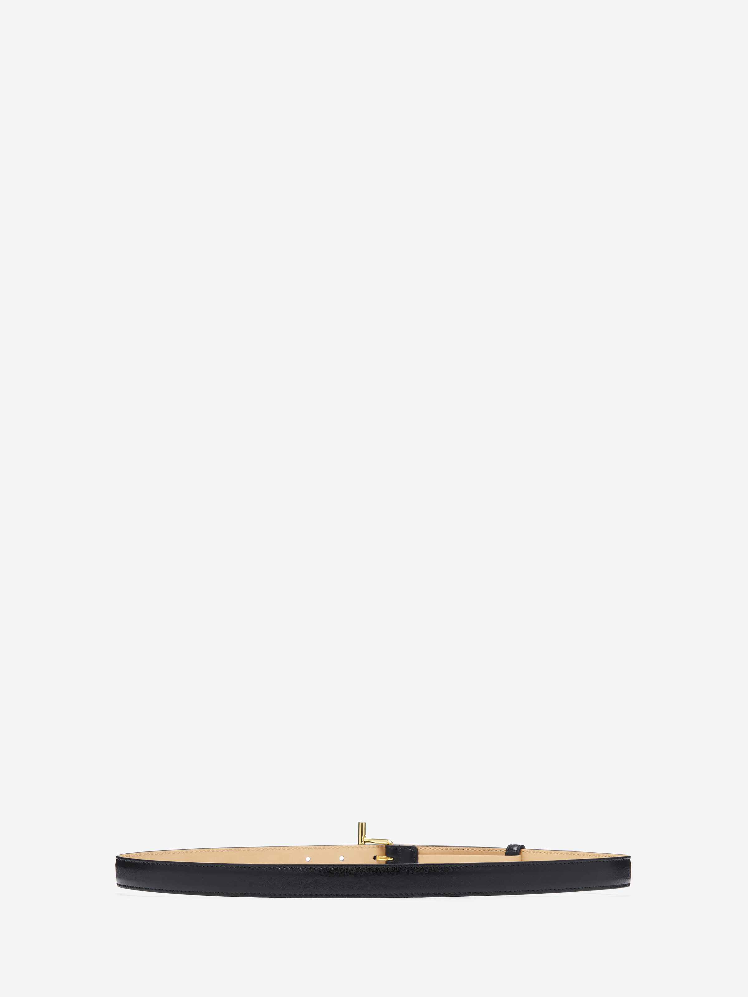 T-Bar Hip Belt - 2