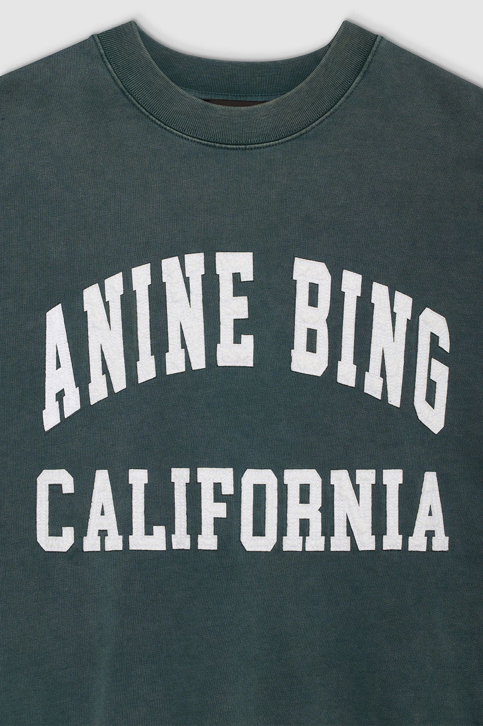 Miles Sweatshirt Anine Bing - Washed Dark Sage - 4