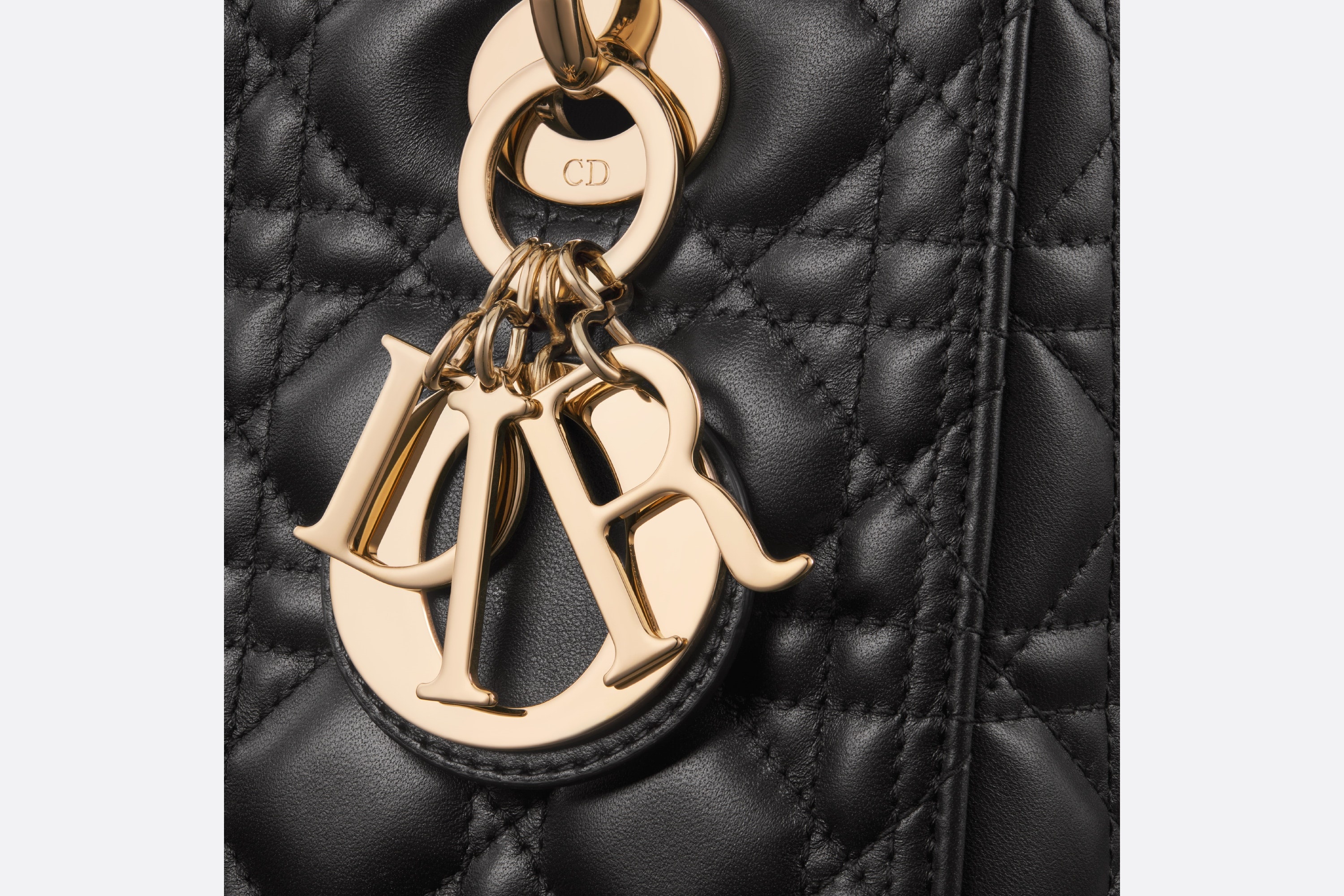 Medium Lady Dior Bag - 6