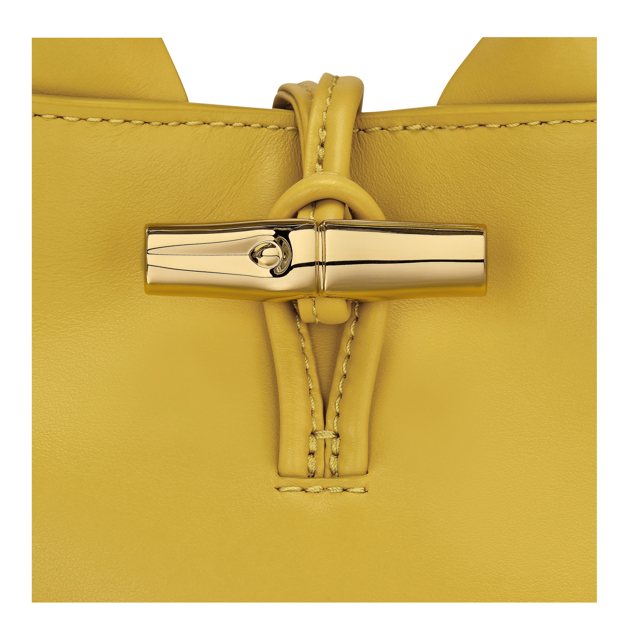 Le Roseau XS Handbag Ginger - Leather - 6